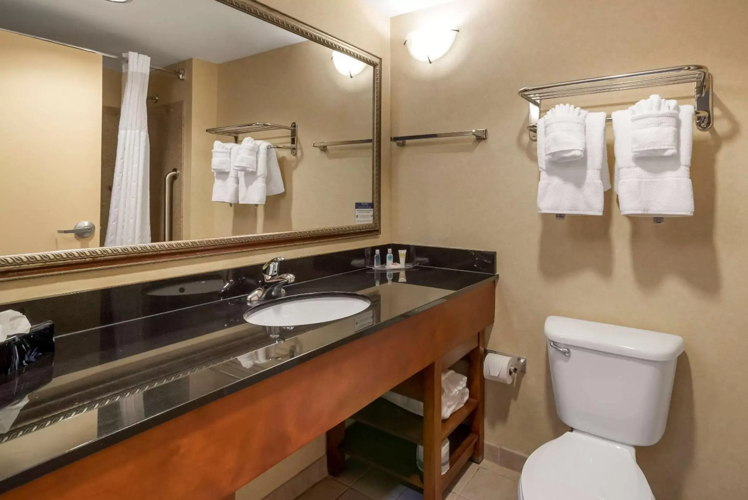 Photo of the whole room, Bathroom in Comfort Suites Fredericksburg North