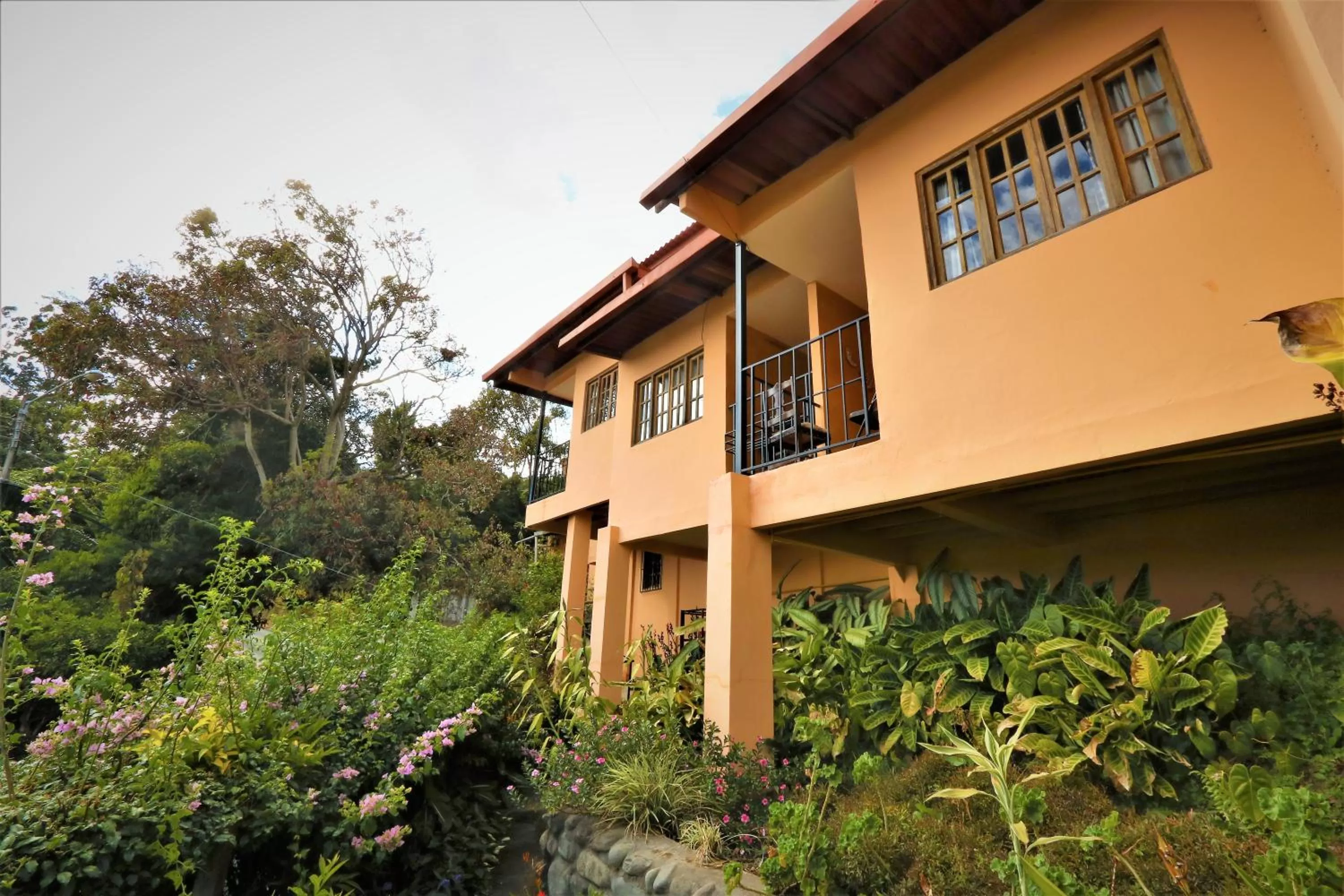 Garden, Property Building in Aparthotel Los Pinos