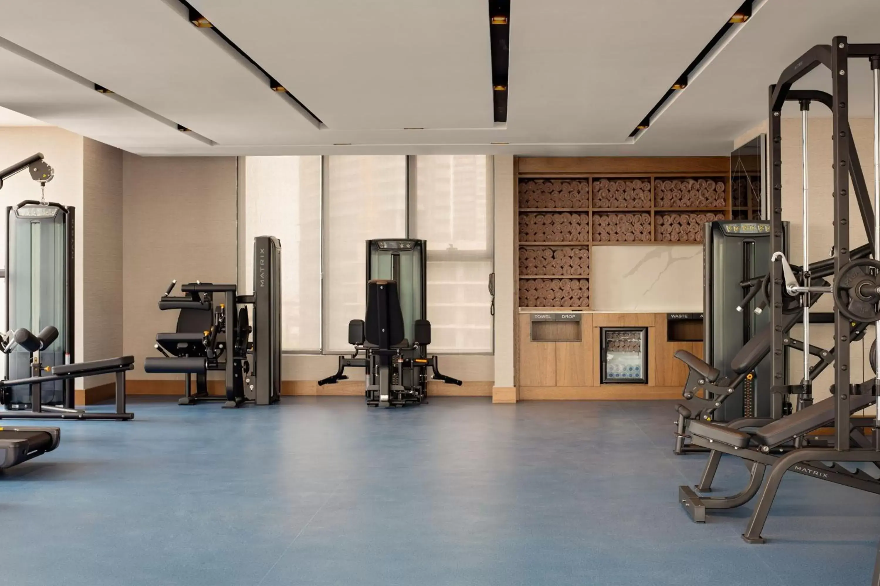Fitness centre/facilities, Fitness Center/Facilities in Sheraton Istanbul Esenyurt
