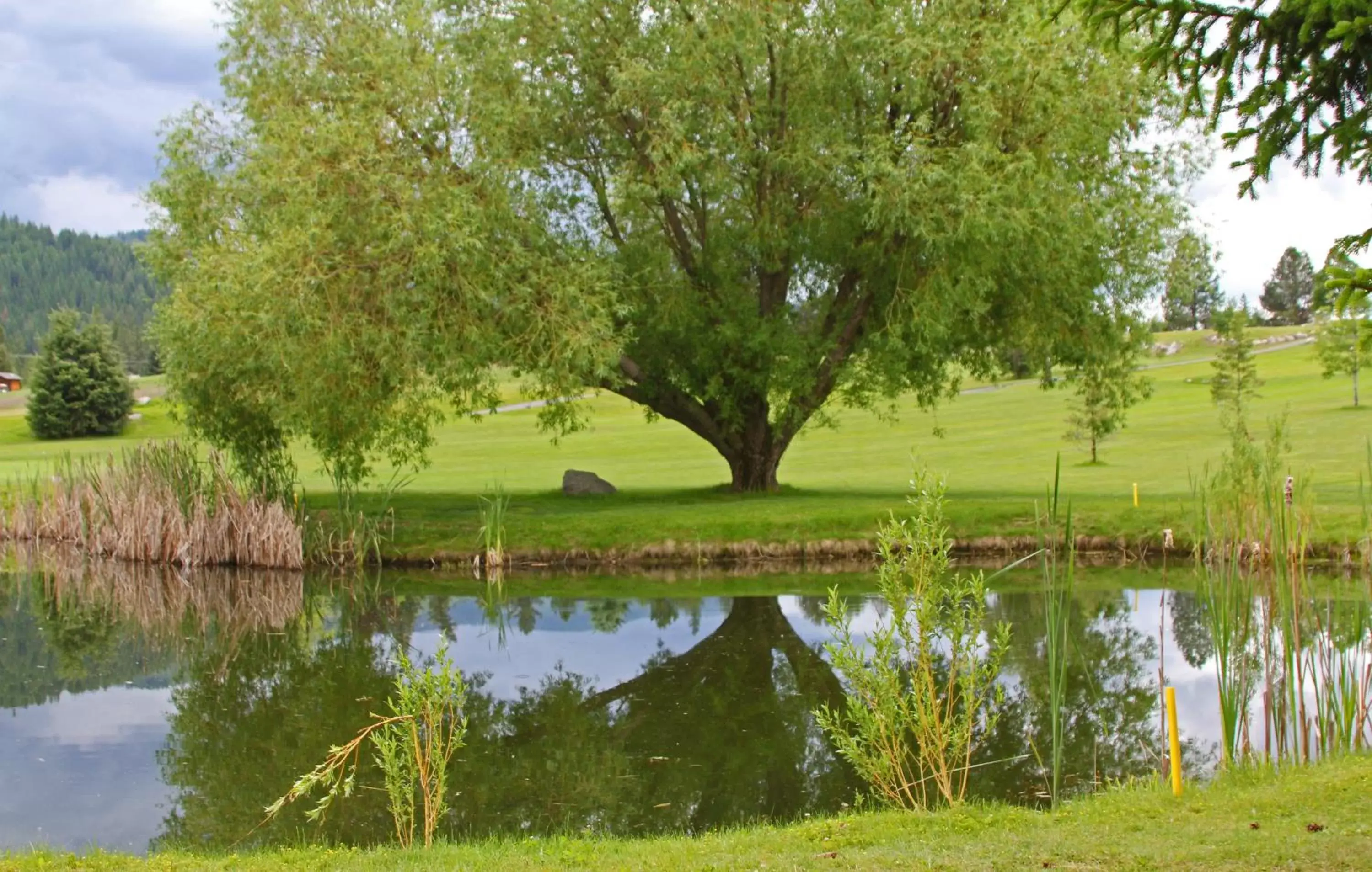 Area and facilities in Stoneridge Resort