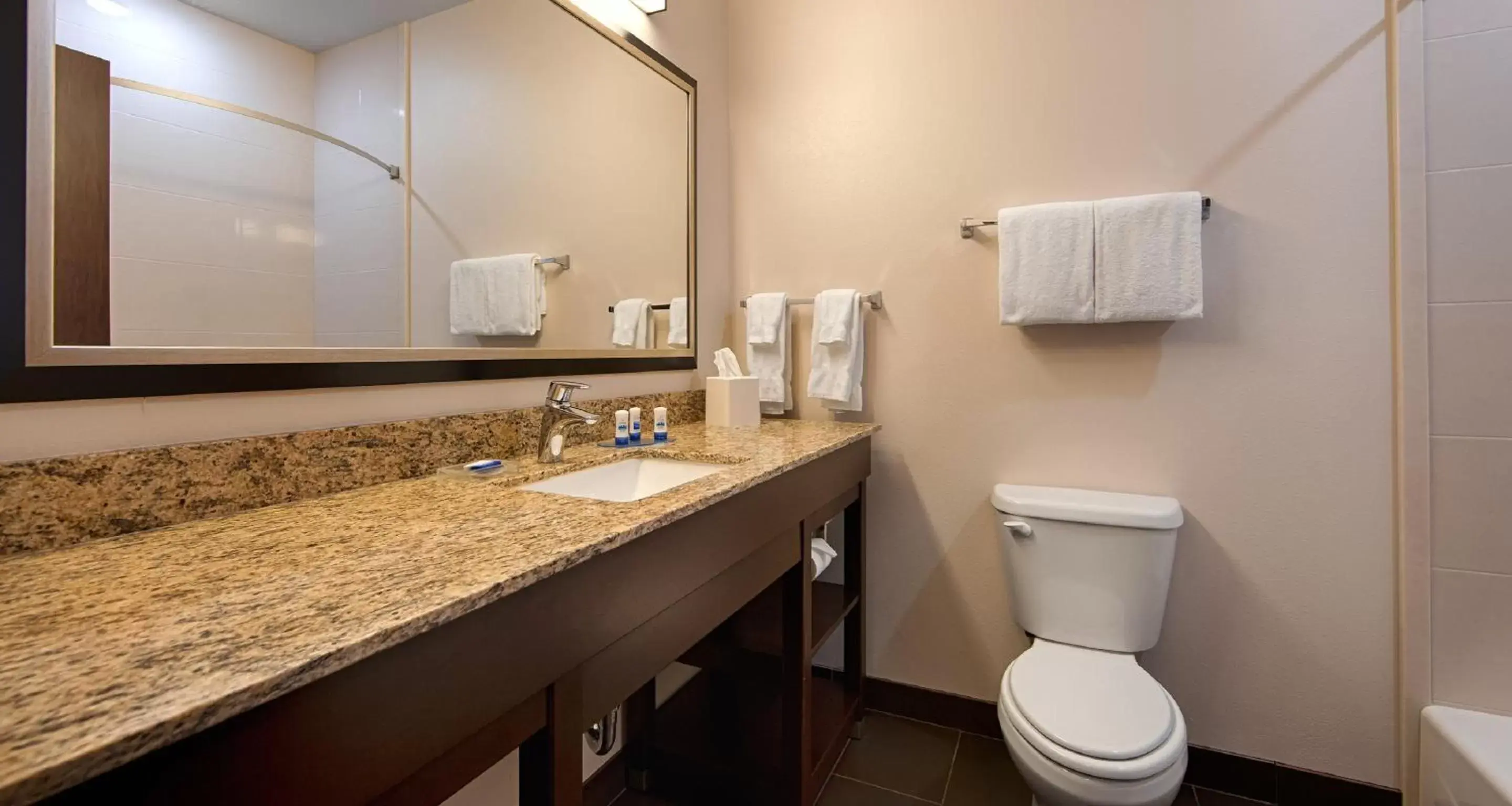 Bathroom in Best Western PLUS Casper Inn & Suites