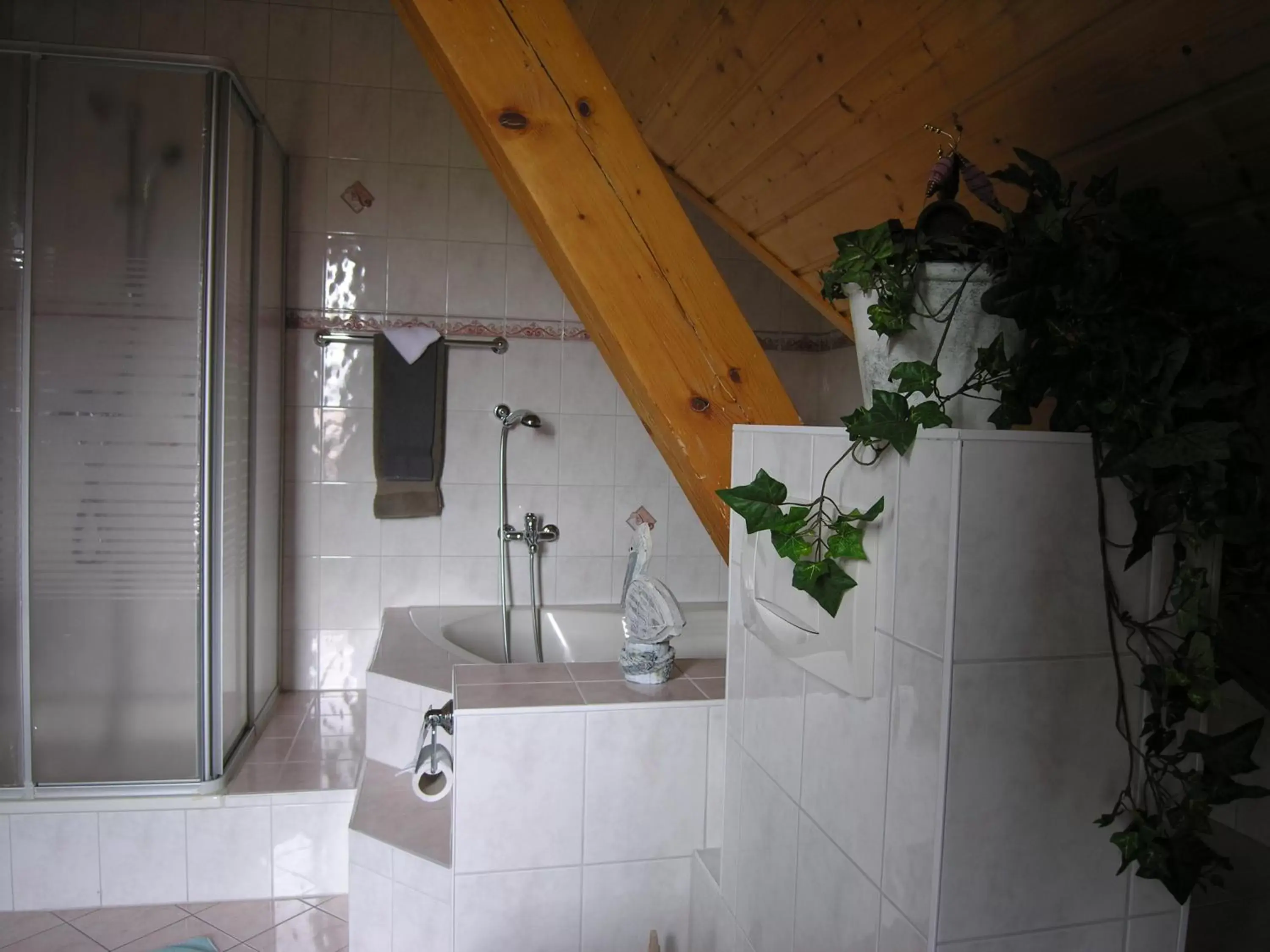 Shower, Bathroom in Hotel Acacia