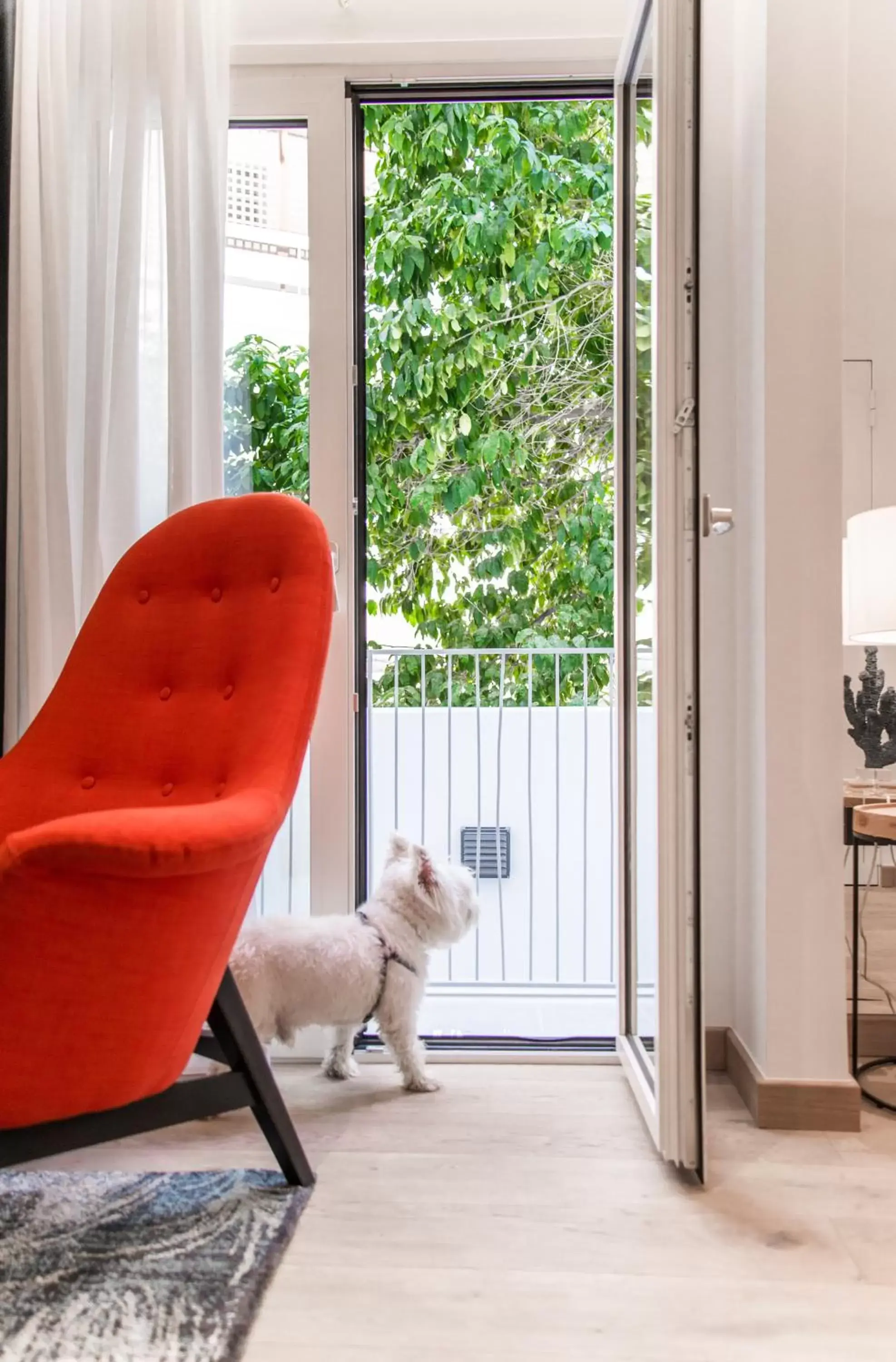 Pets in PINACOTA SUITES ATHENS