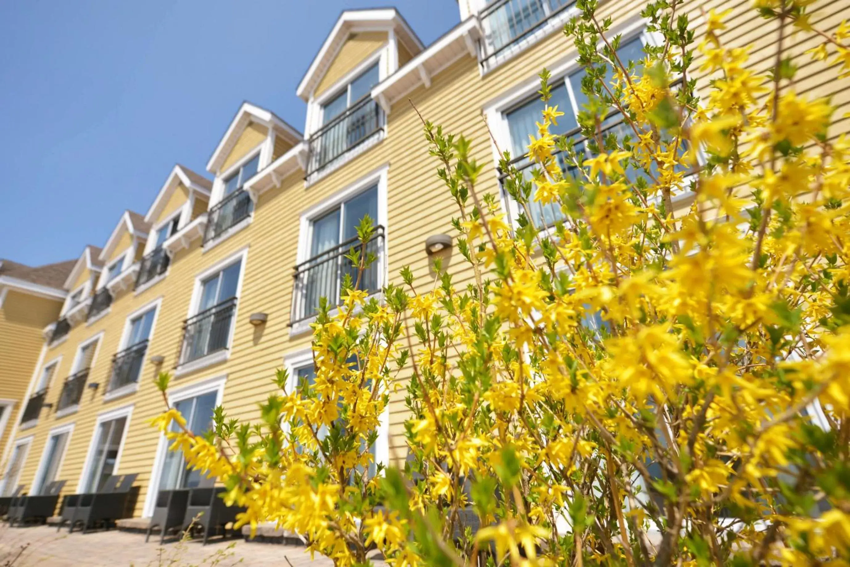 Facade/entrance, Property Building in Manoir Belle Plage