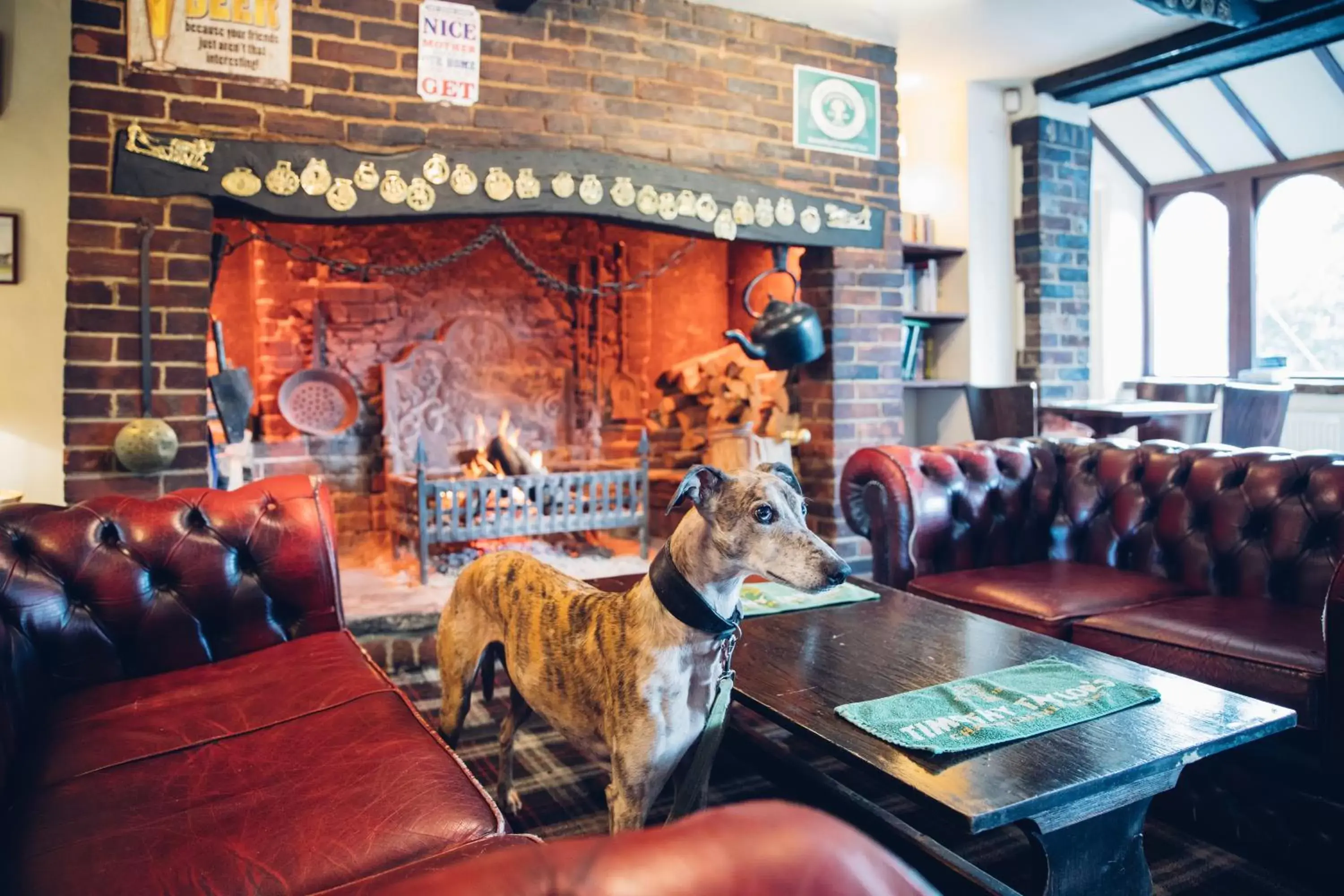 Lounge or bar in The Jolly Drover