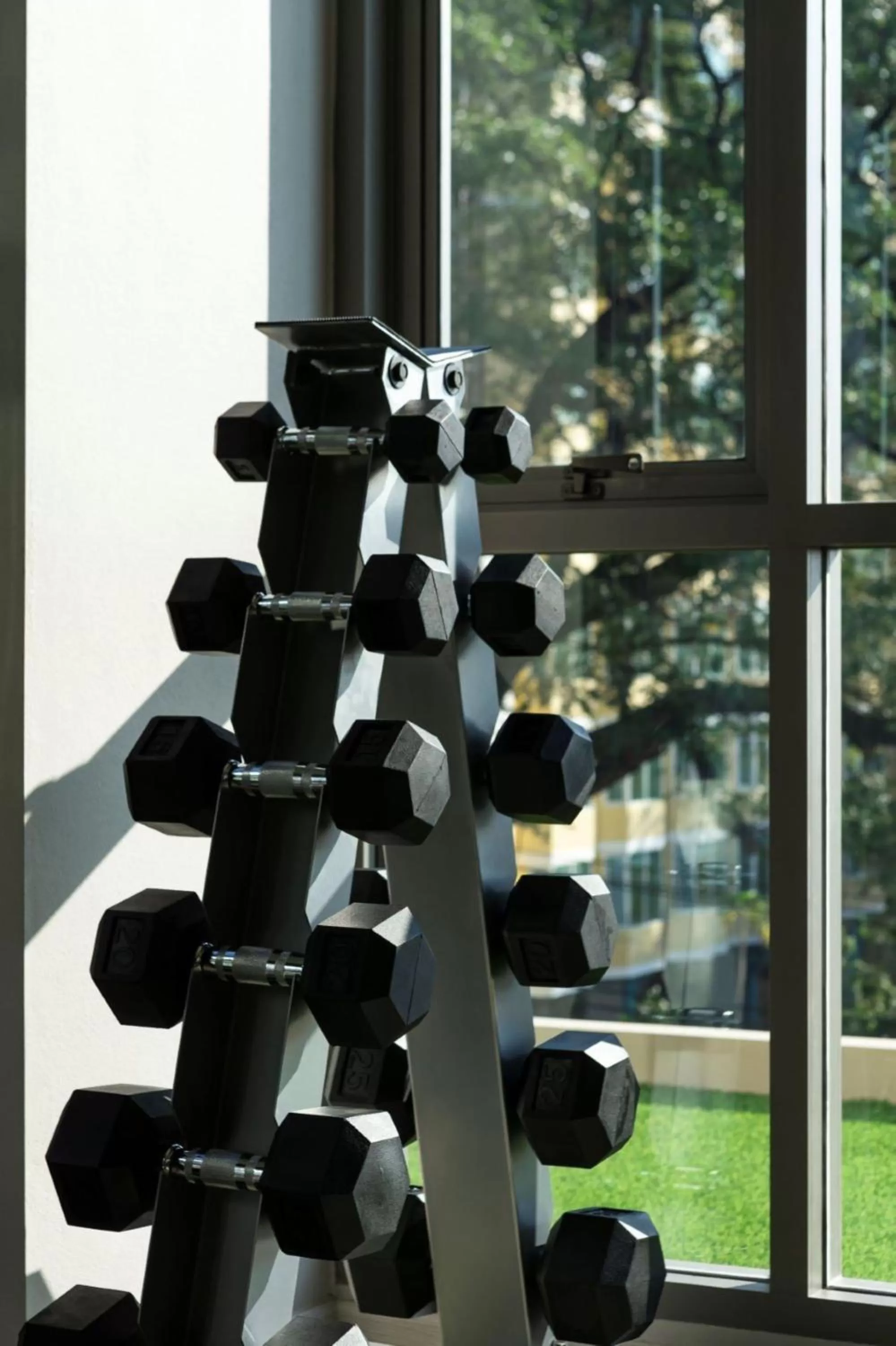 Fitness centre/facilities in Ana Park Residence