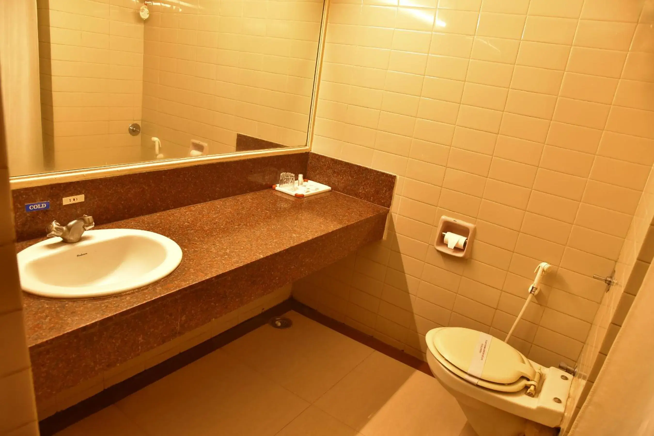 Bathroom in Hotel Poonja International