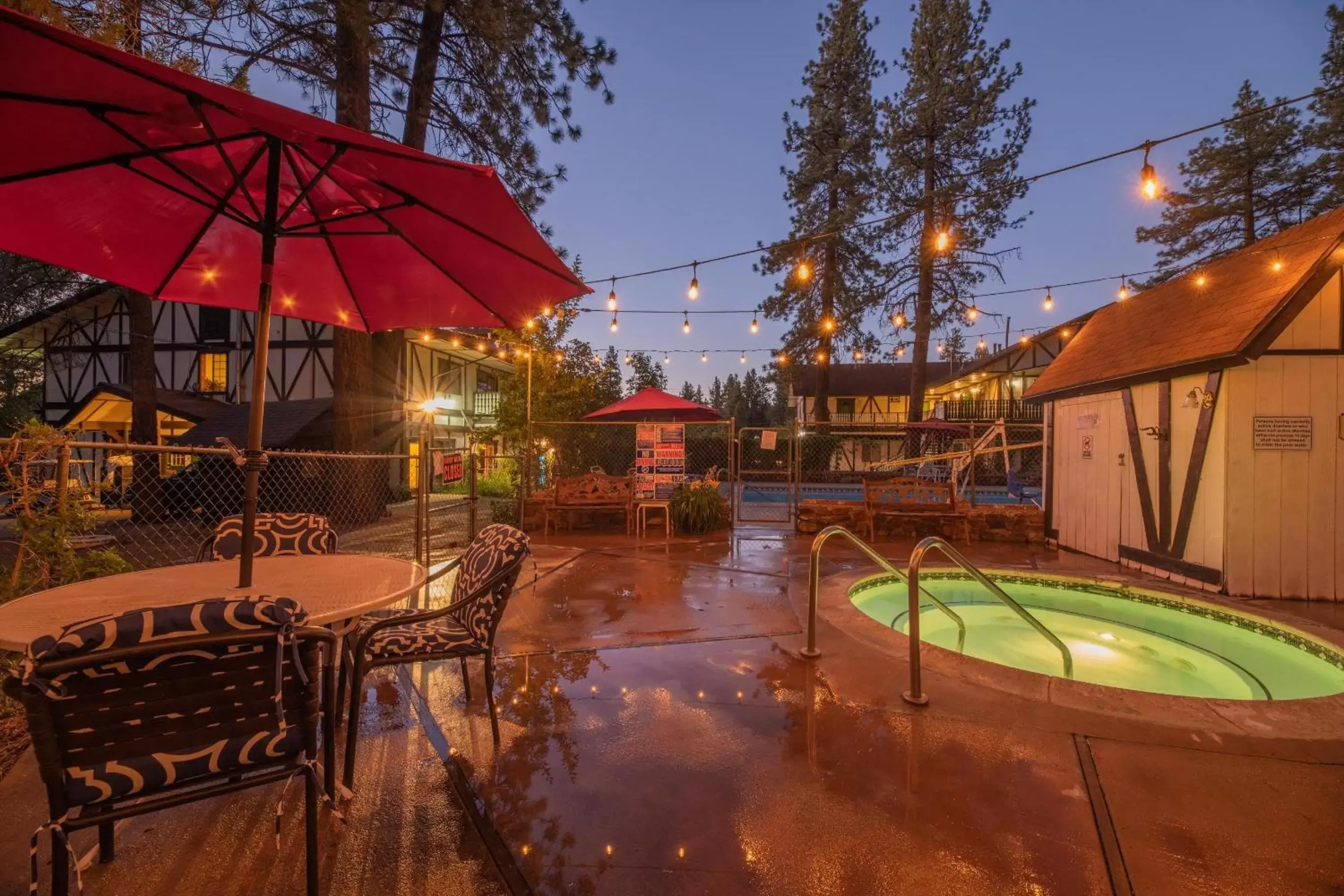 Swimming Pool in Black Forest Lodge