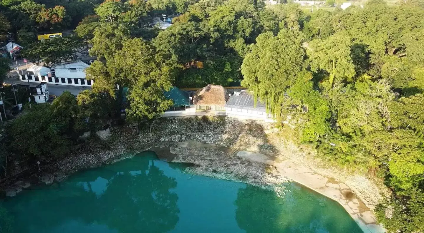 Bird's-eye View in Hotel Nututun Palenque