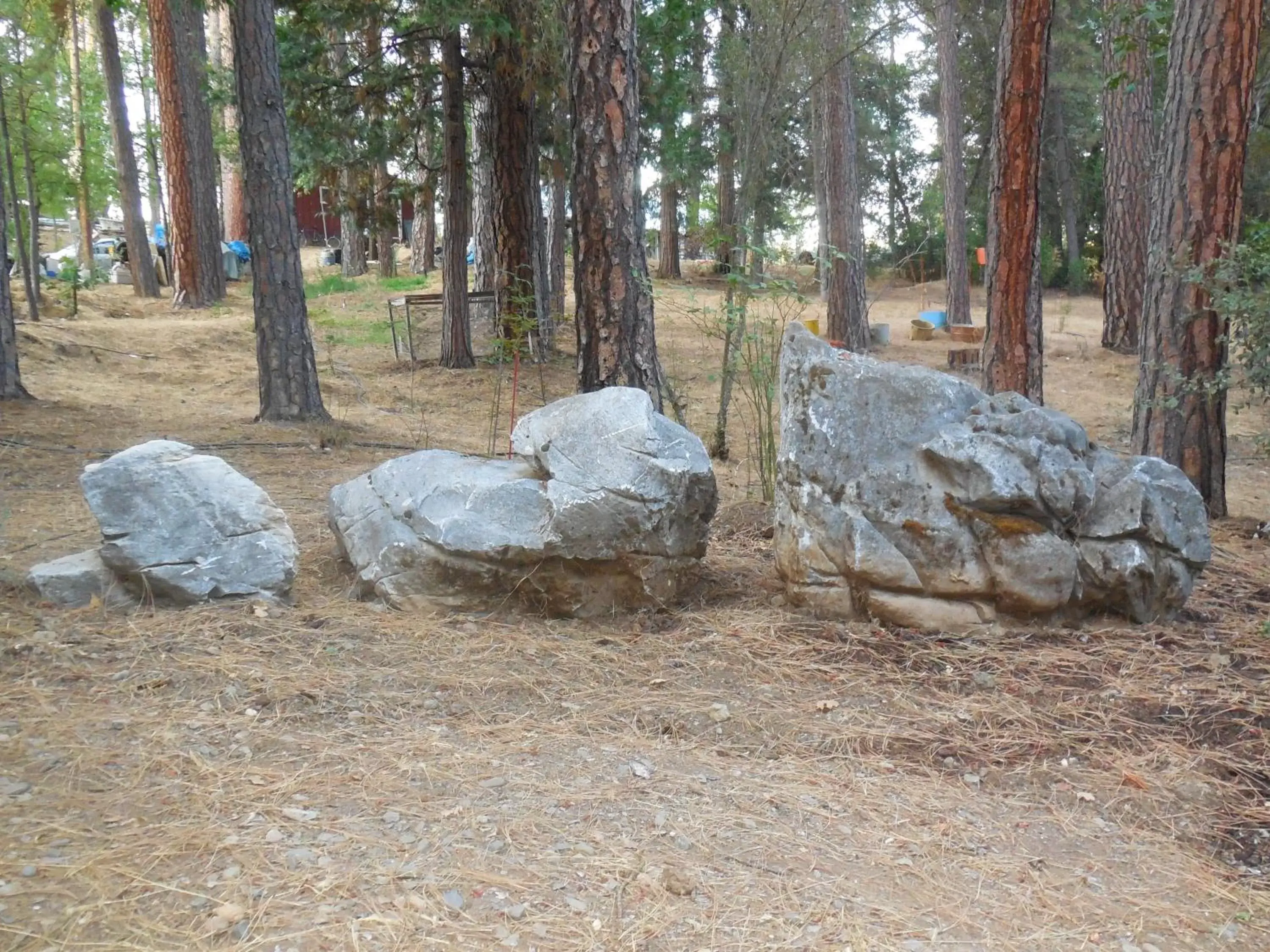 Area and facilities in Yosemite Paradise Inn