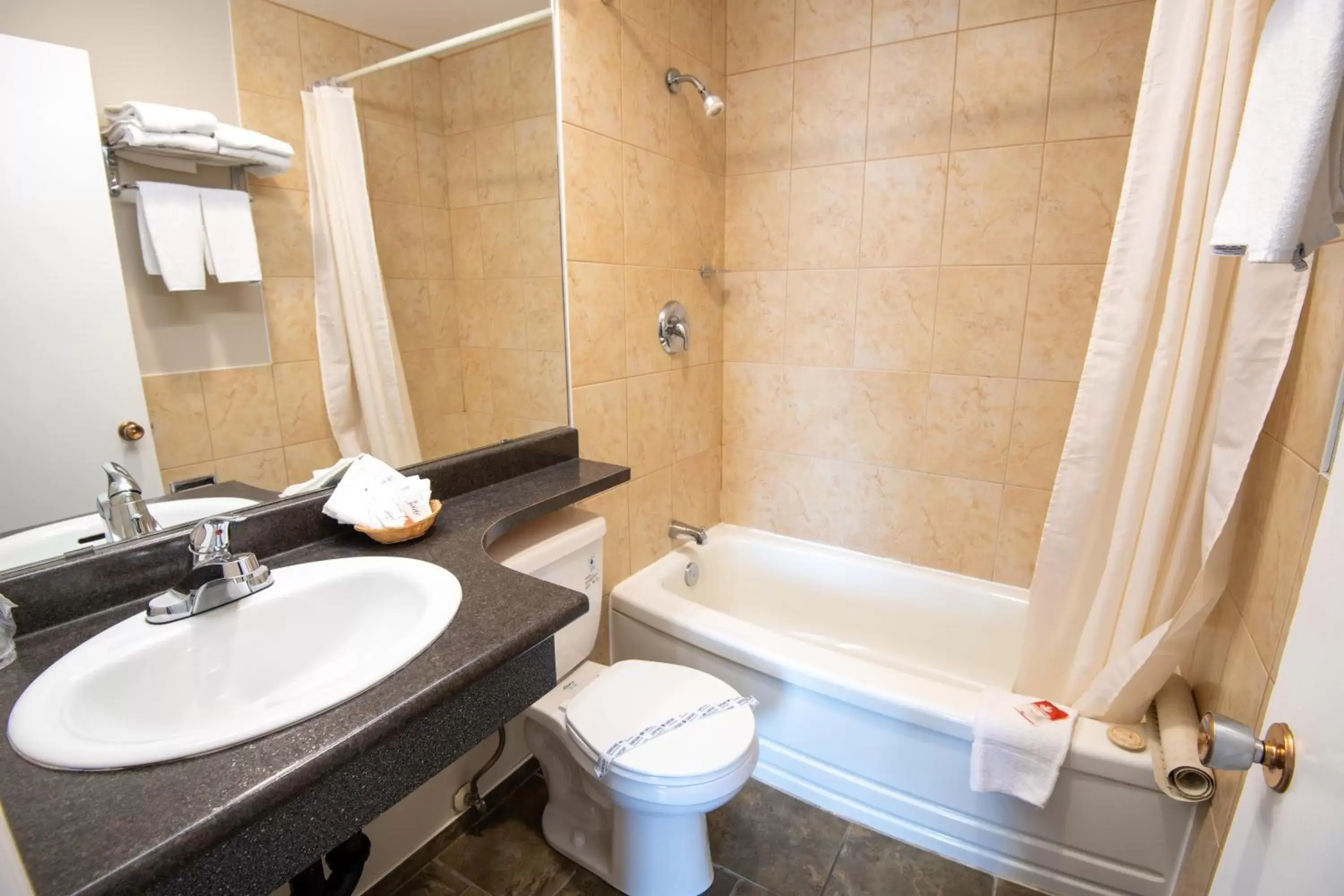 Bathroom in Canadas Best Value Inn-Prince George