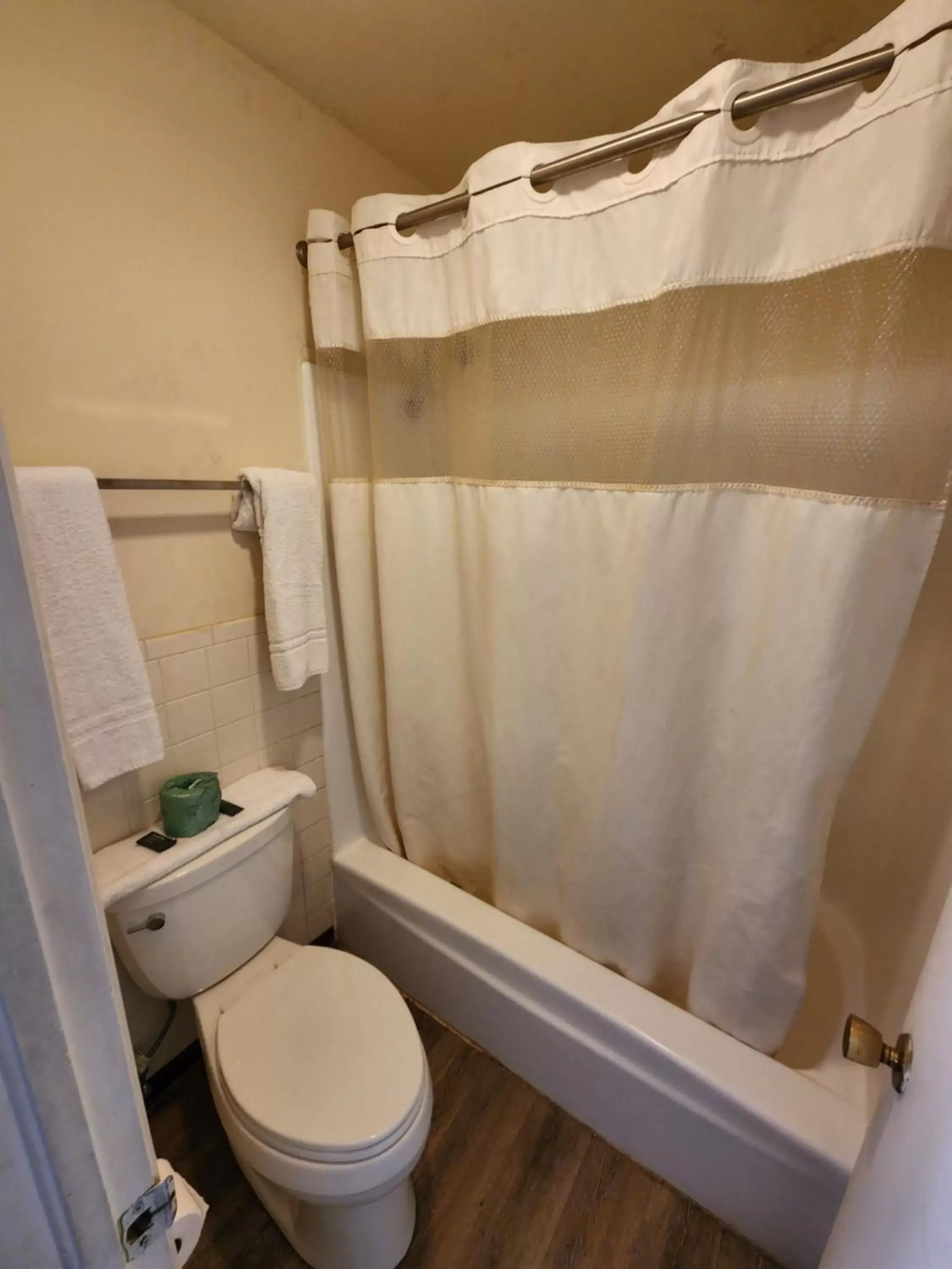 Shower, Bathroom in Satellite Inn