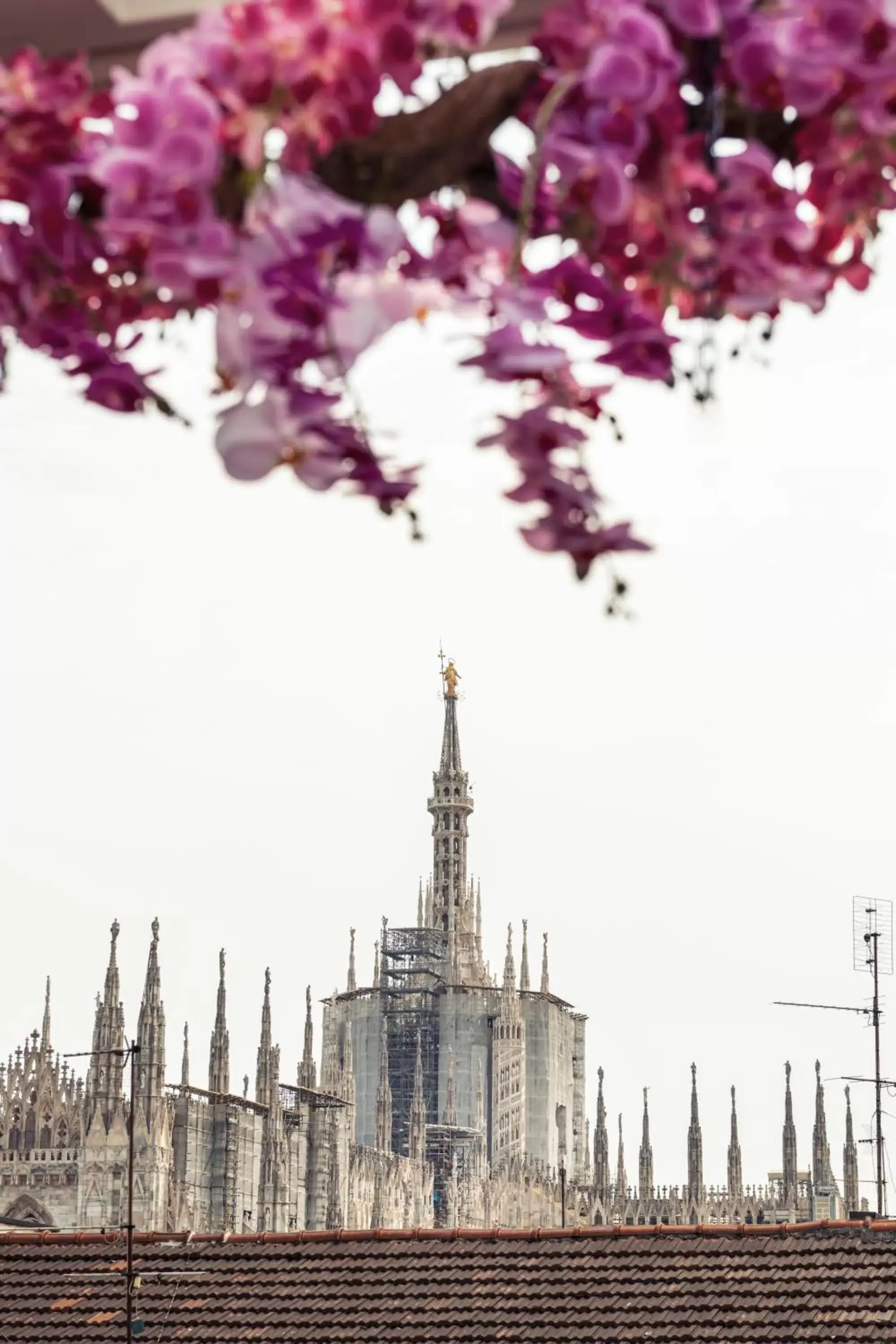 Landmark view in ODSweet Duomo Milano Hotel