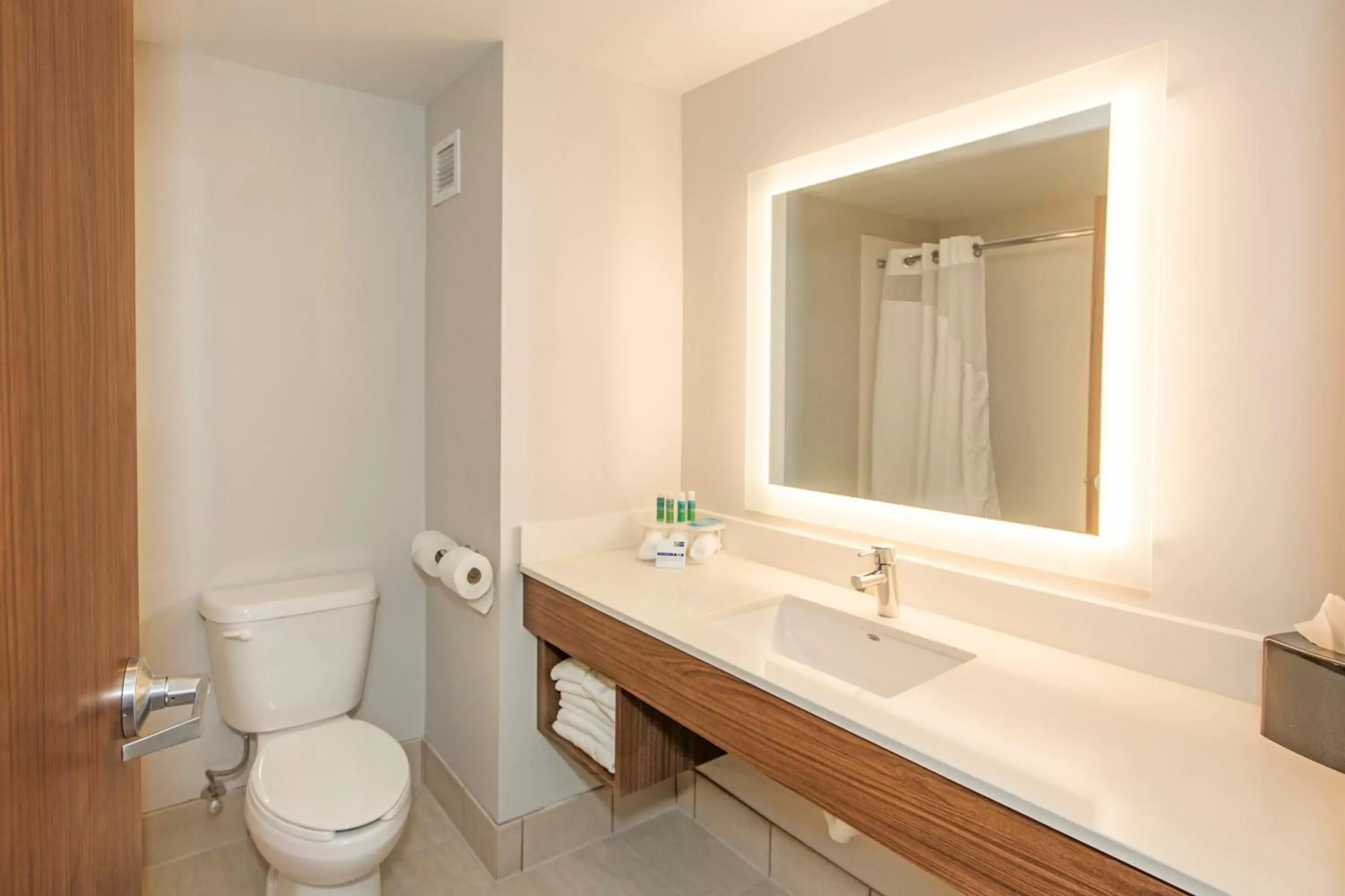 Photo of the whole room, Bathroom in Holiday Inn Express & Suites Pittsburgh North Shore, an IHG Hotel