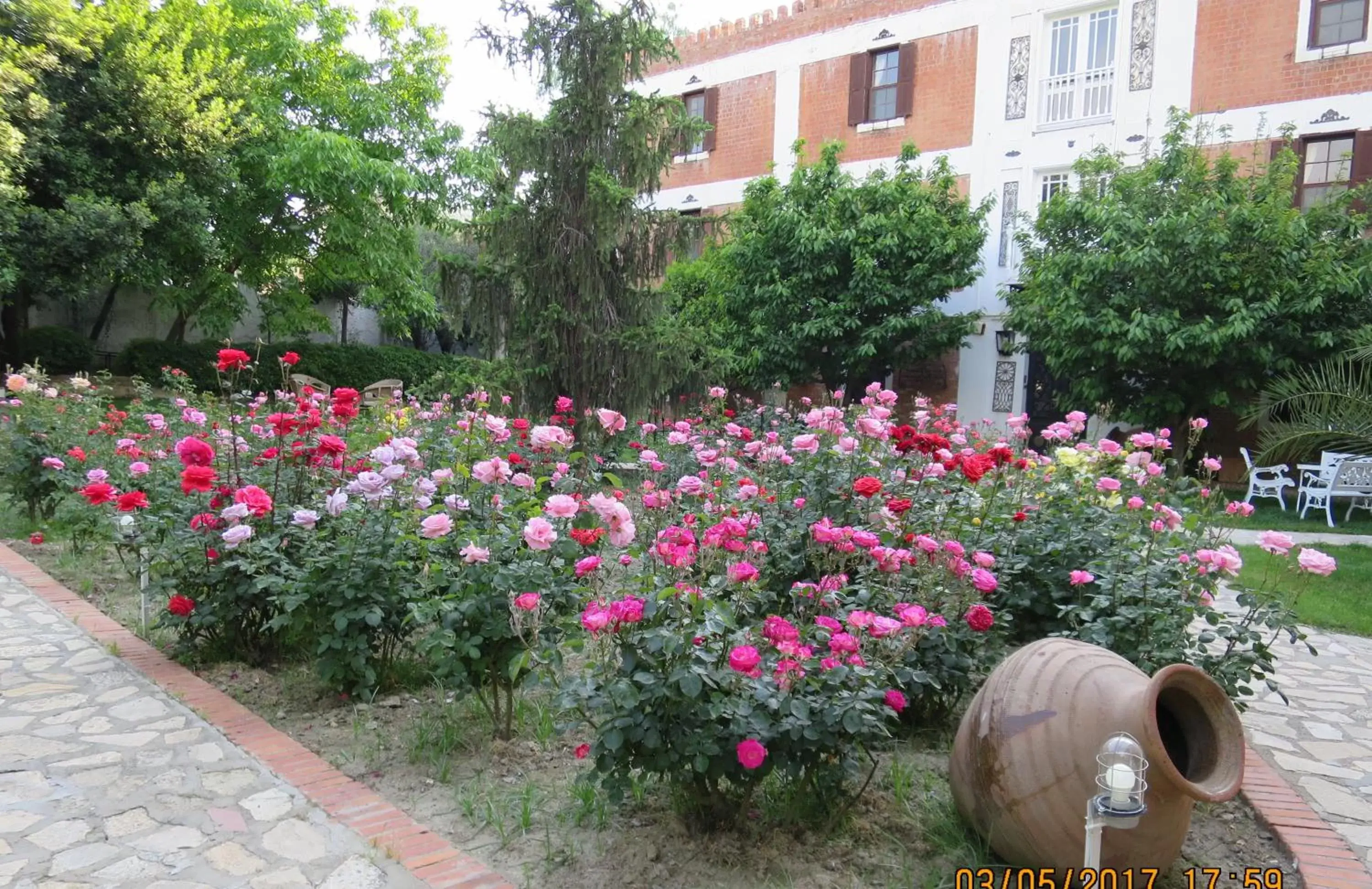 Day, Garden in Hotel Kalehan