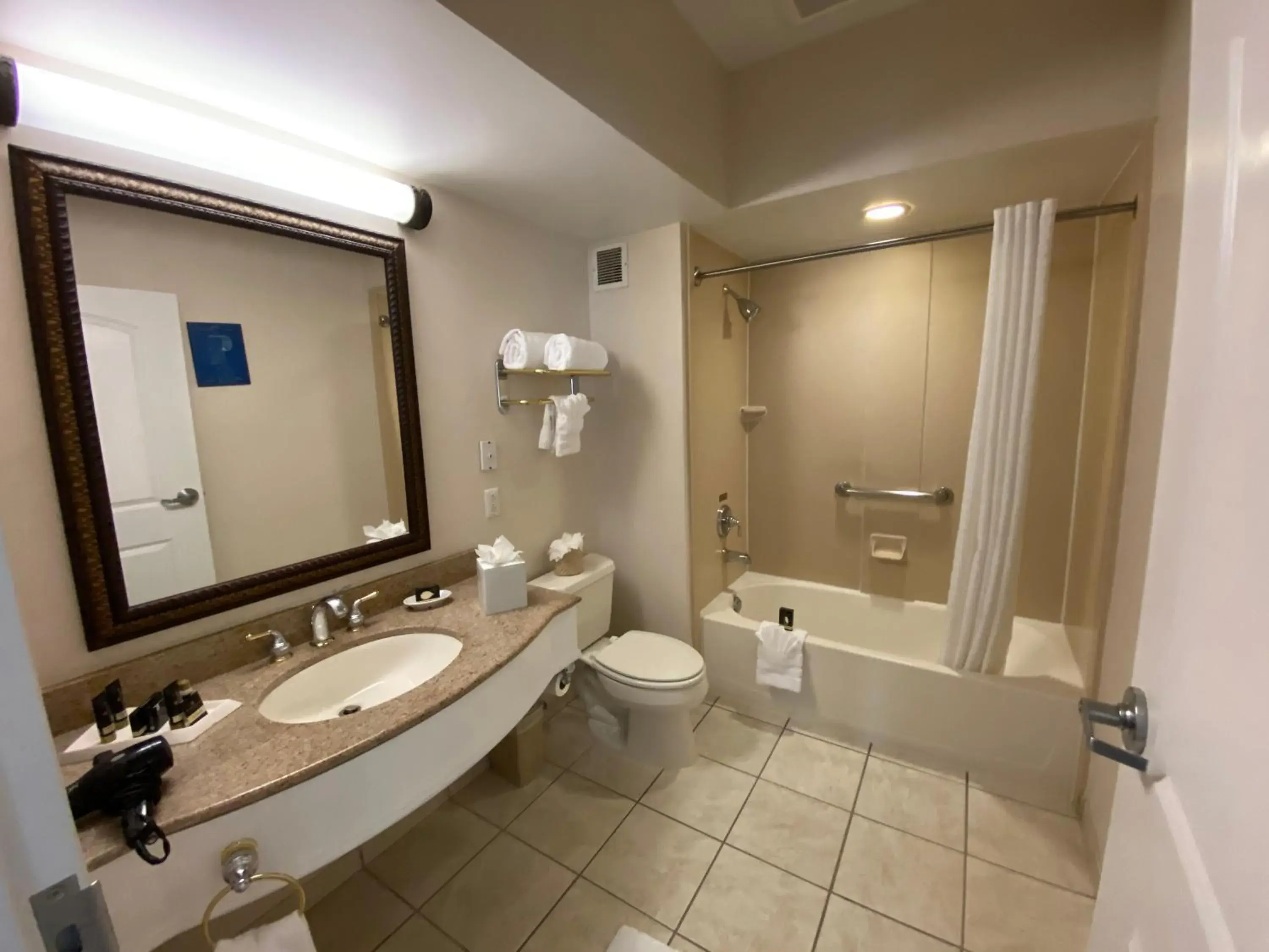 Shower, Bathroom in The Wilshire Grand Hotel