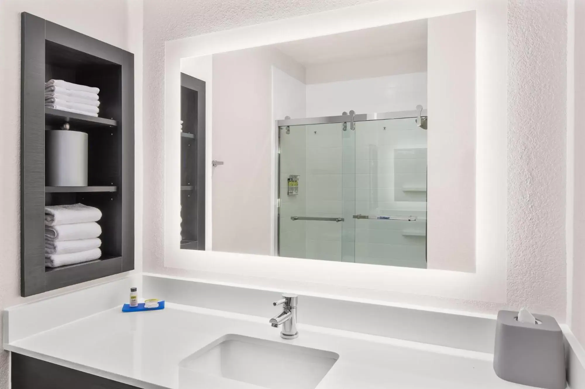 Shower, Bathroom in Holiday Inn Express Hotel & Suites Greenville-I-85 & Woodruff Road, an IHG Hotel
