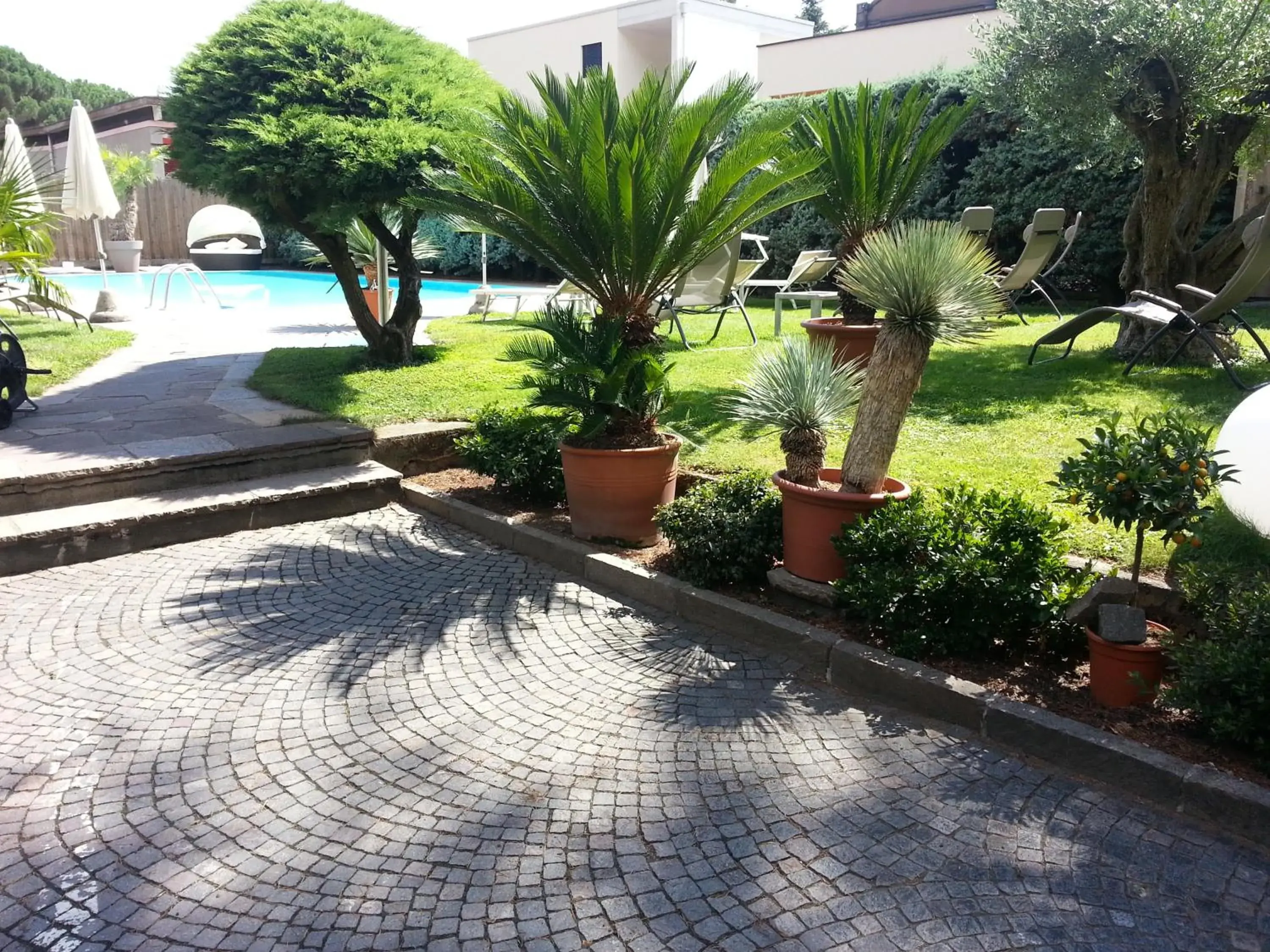 Garden, Swimming Pool in Hotel Jasmin