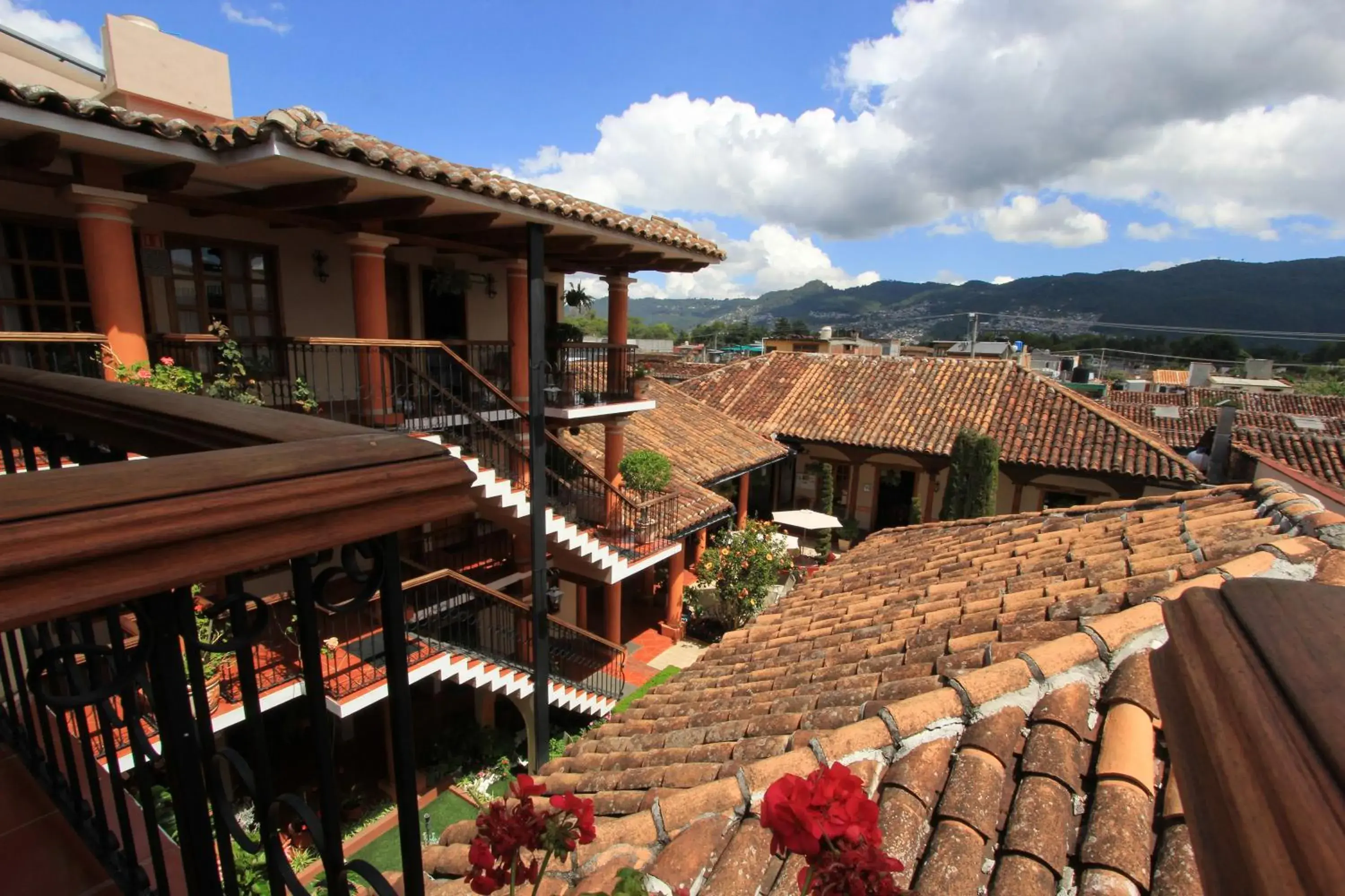 Garden view in Hotel La Casa de Mamá