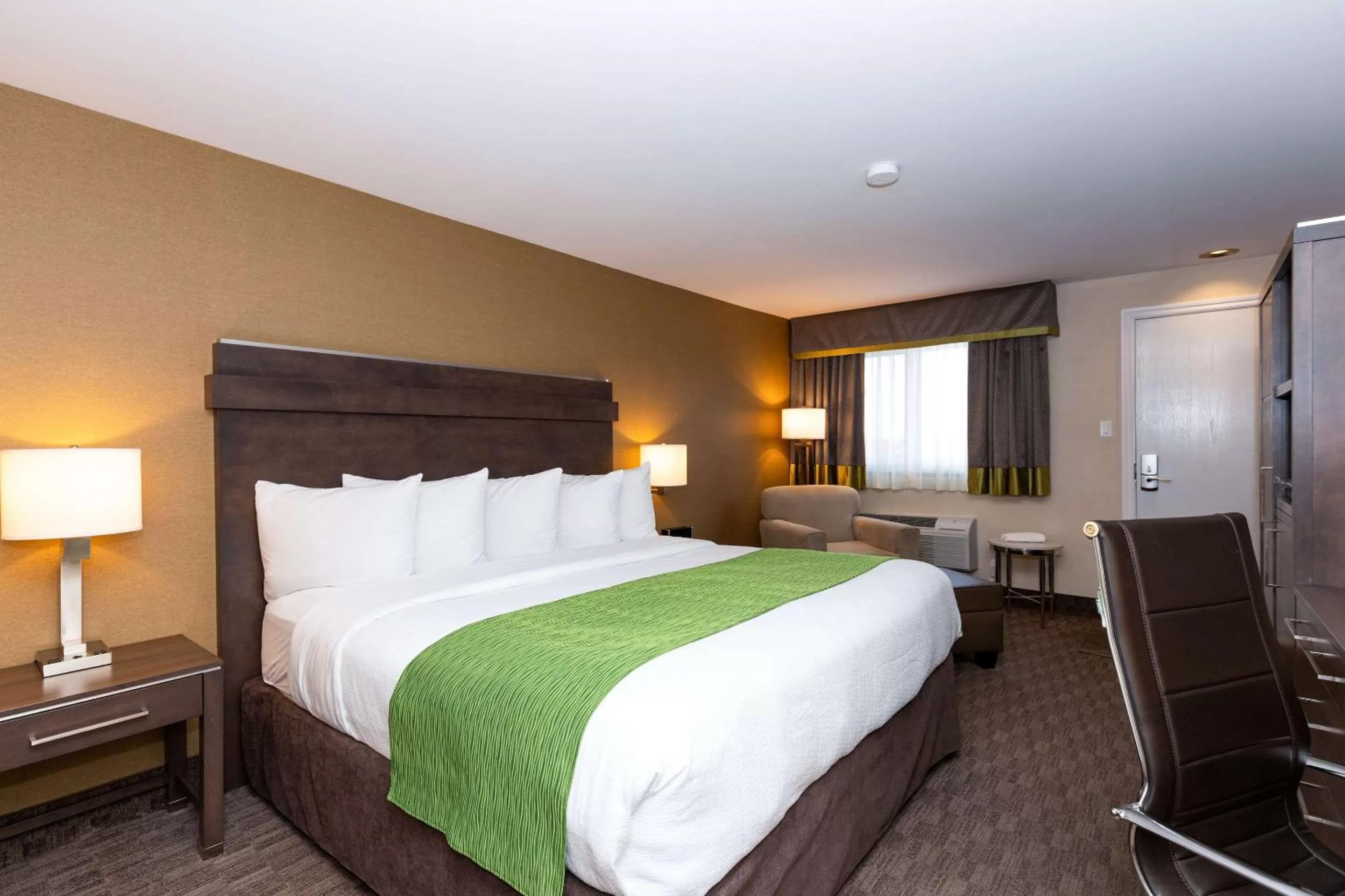 Photo of the whole room, Bed in Quality Inn & Suites