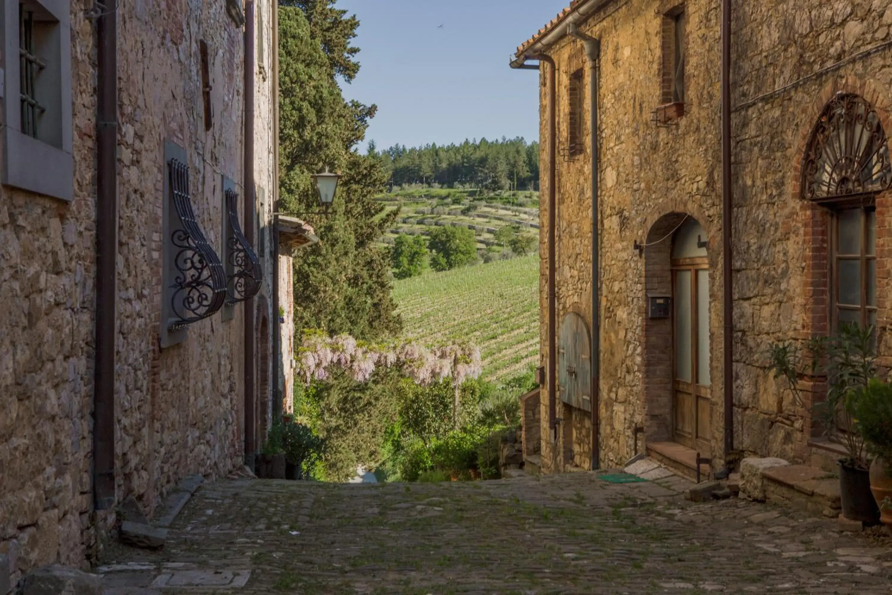 Property building in Castello di Fonterutoli Wine Resort