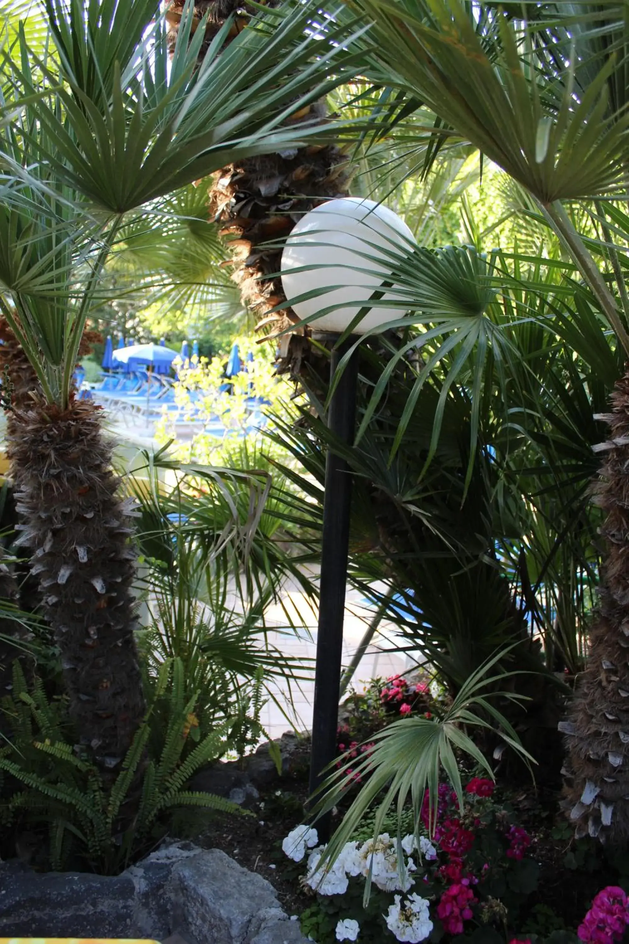 Spring, Swimming Pool in Hotel Floridiana Terme