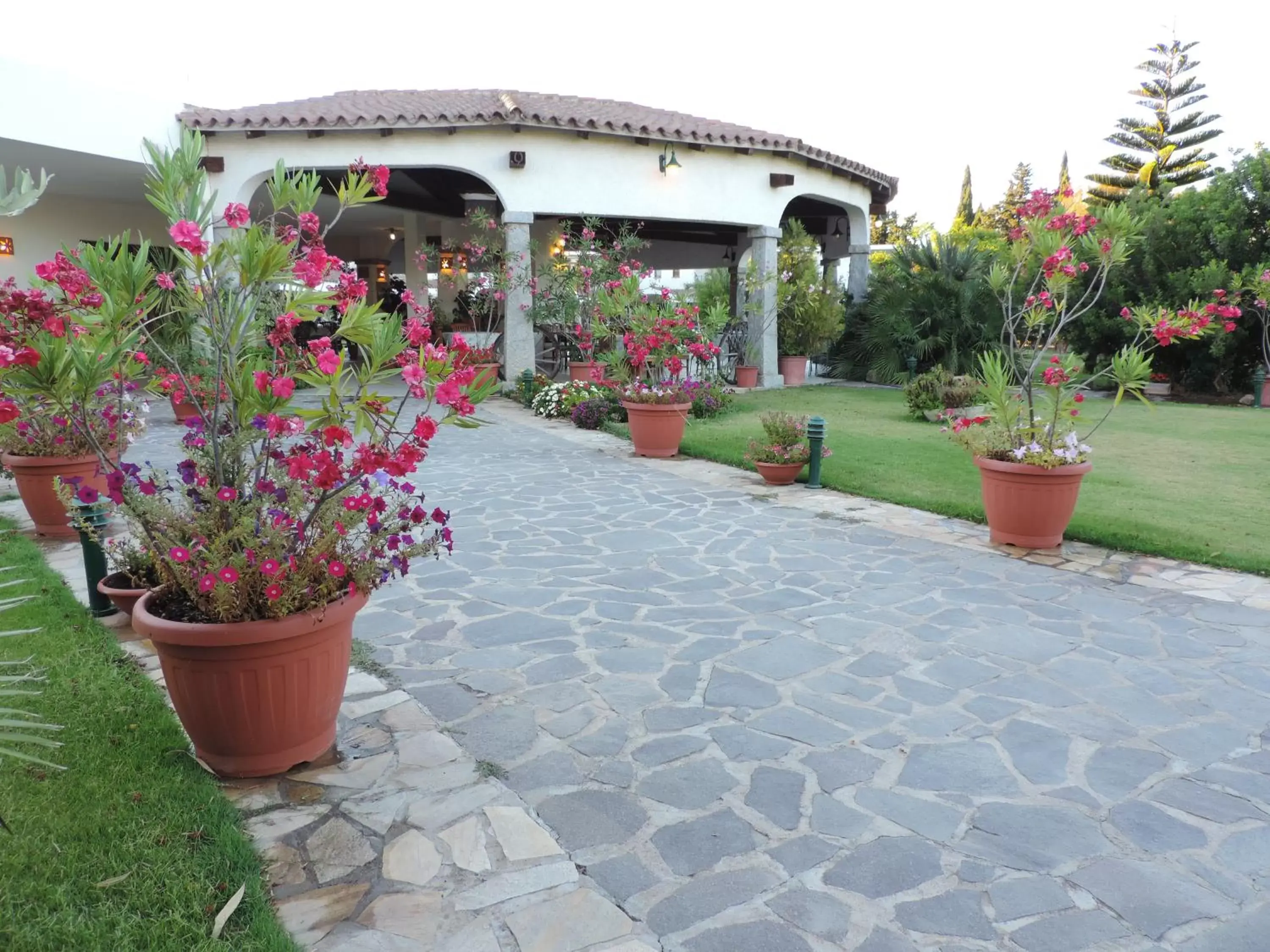 Day, Patio/Outdoor Area in Hotel Domu Incantada