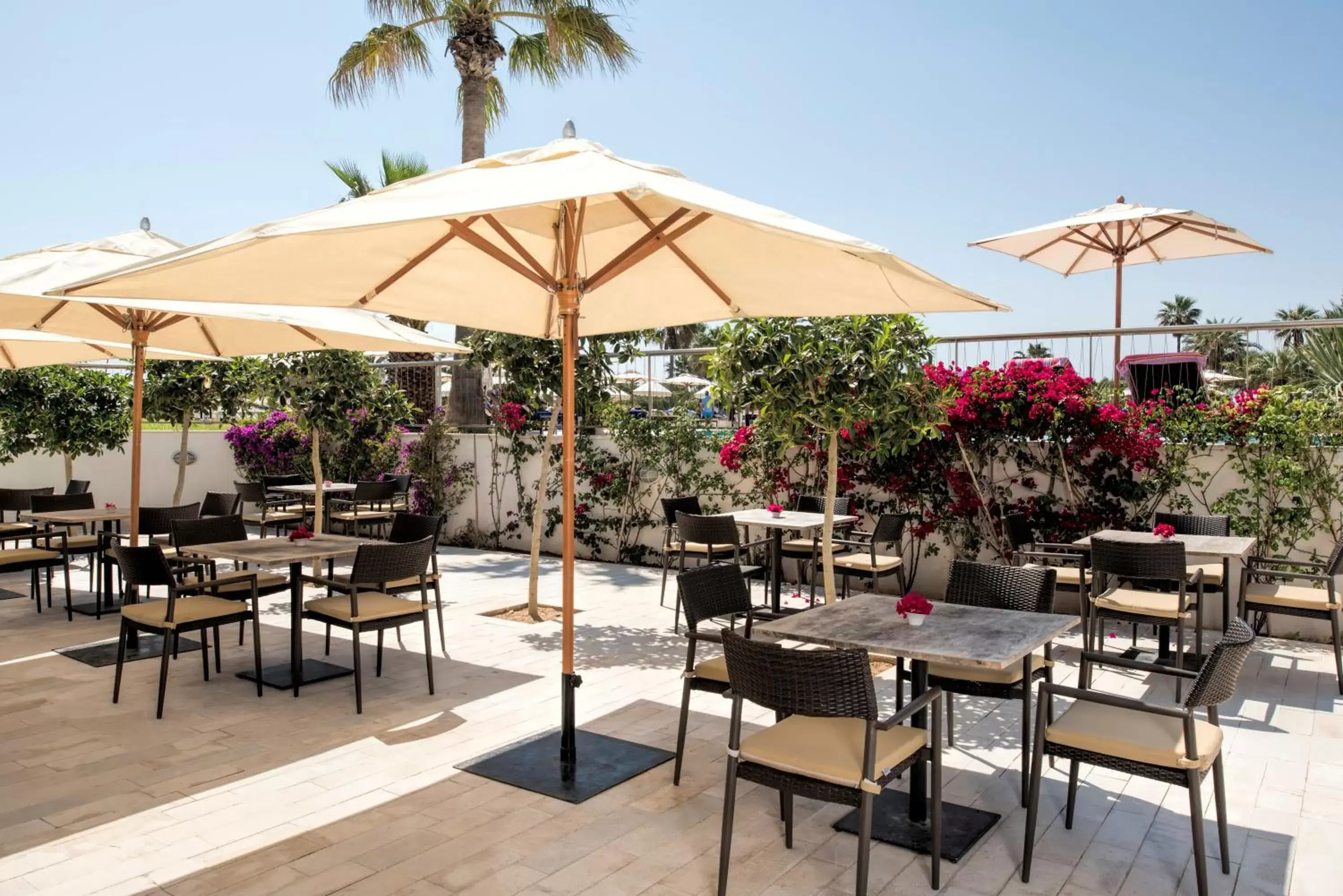 Restaurant/places to eat in Iberostar Selection Diar El Andalous Restaurant/places to eat in Iberostar Selection Diar El Andalous