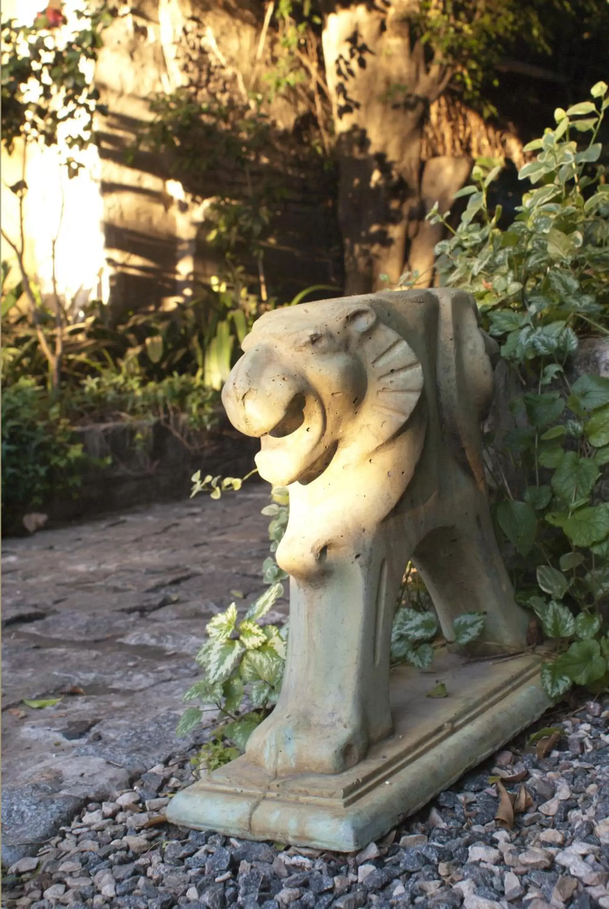 Patio, Other Animals in BENS L'Hôtel Palermo