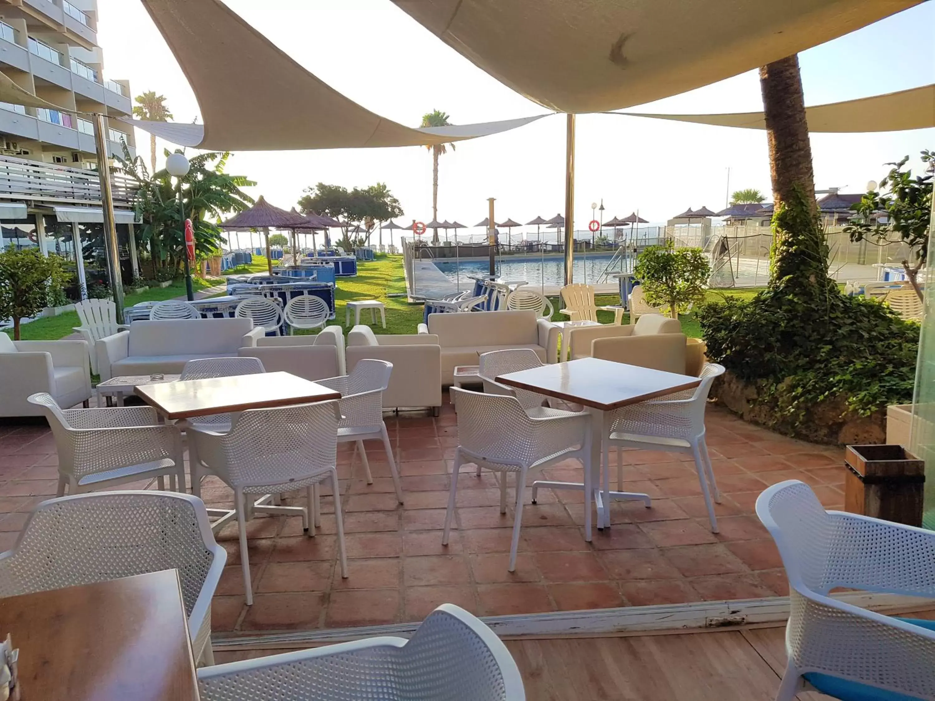 Lounge or bar, Restaurant/Places to Eat in La Barracuda