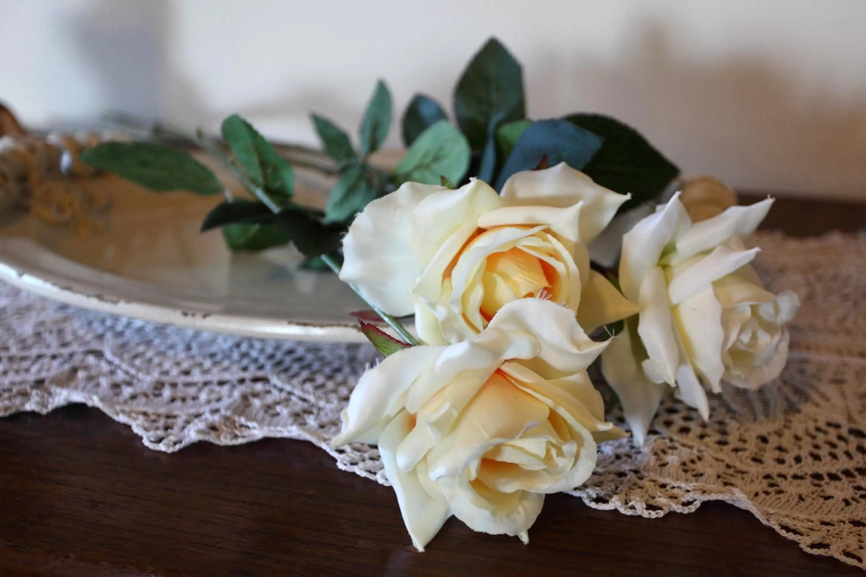 Other in B&B Arivellini