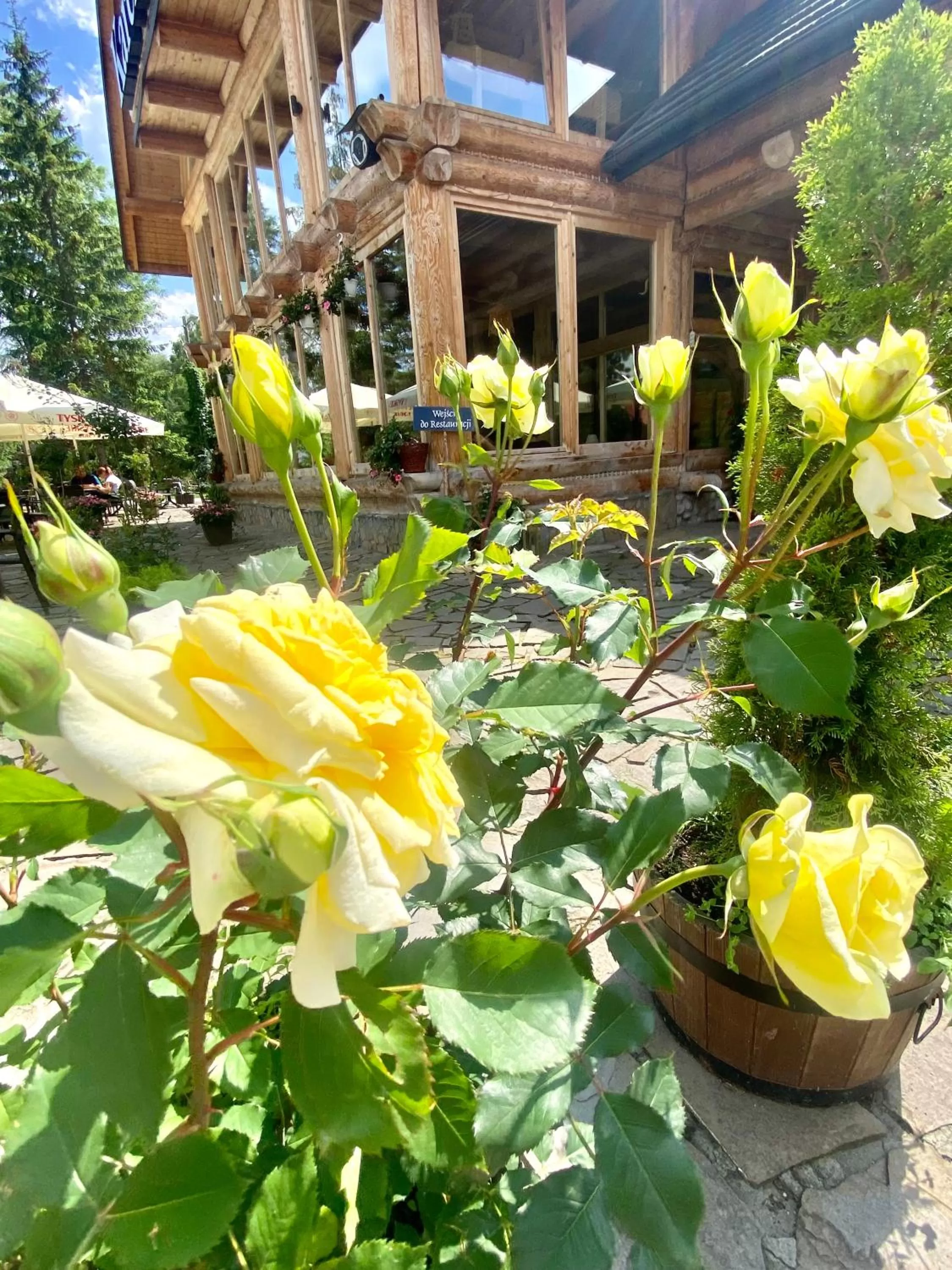 Garden in Zajazd Białczański Dom Wypoczynkowy Restauracja