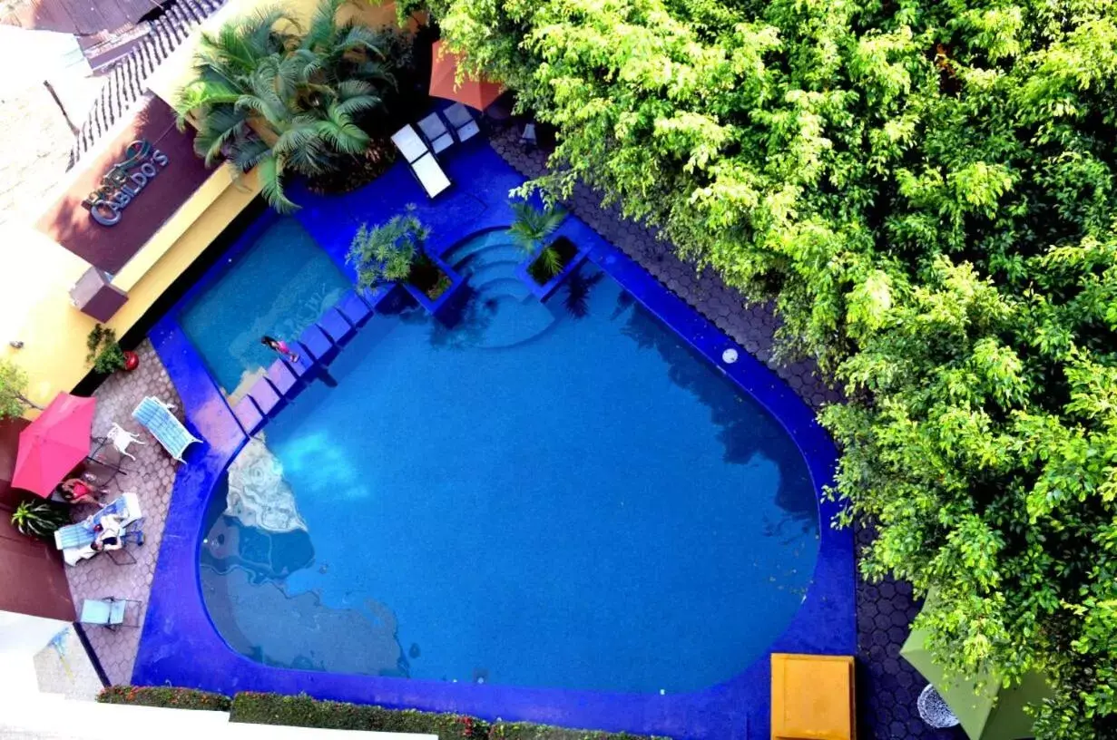 Bird's eye view, Pool View in Hotel Cabildos