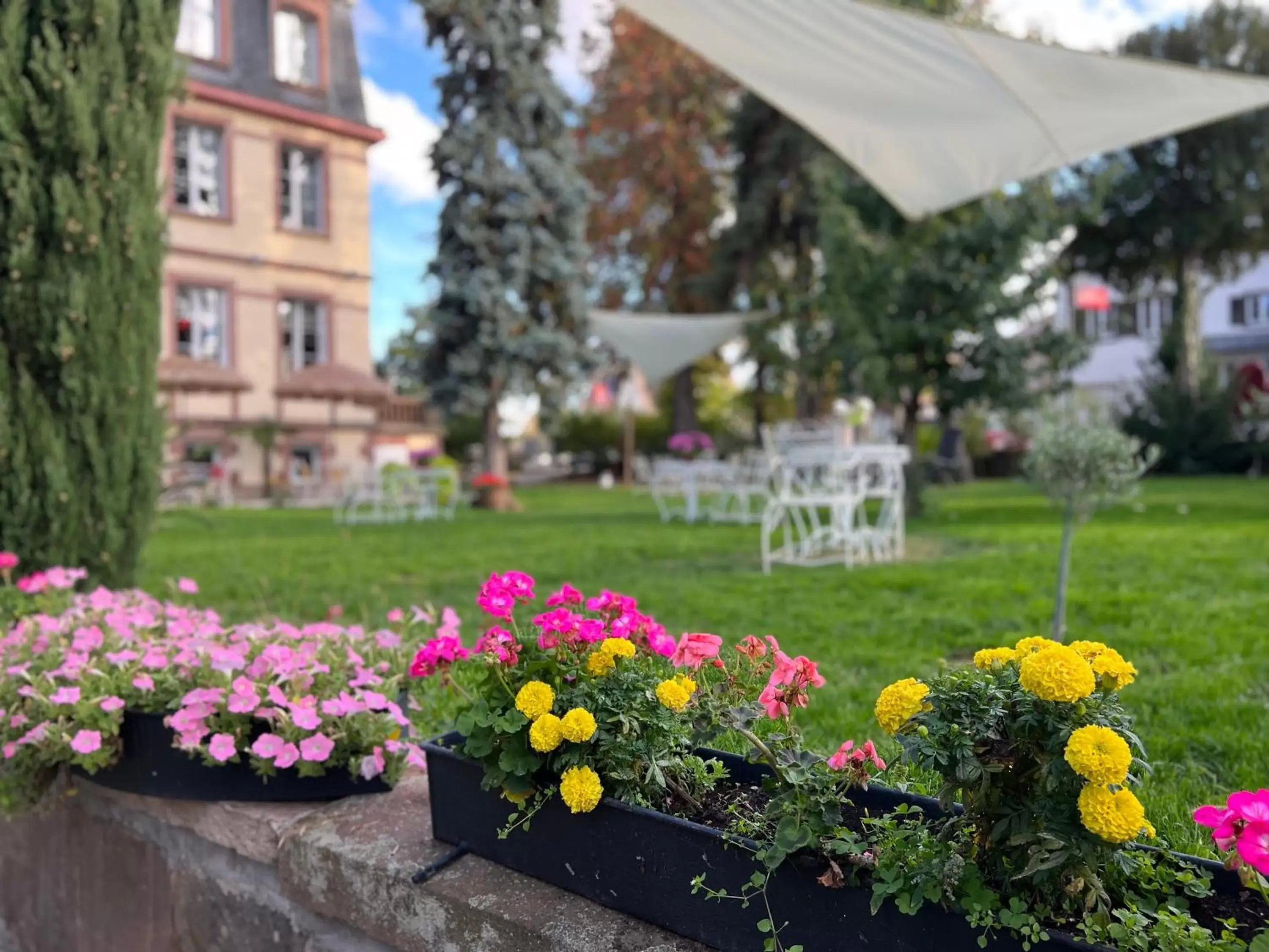 Garden view, Garden in Hôtel Le Manoir