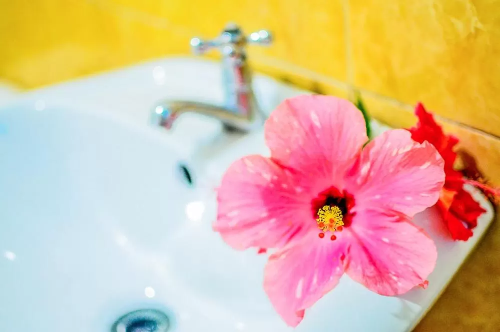 Camaya-an Paradise Beach Resort