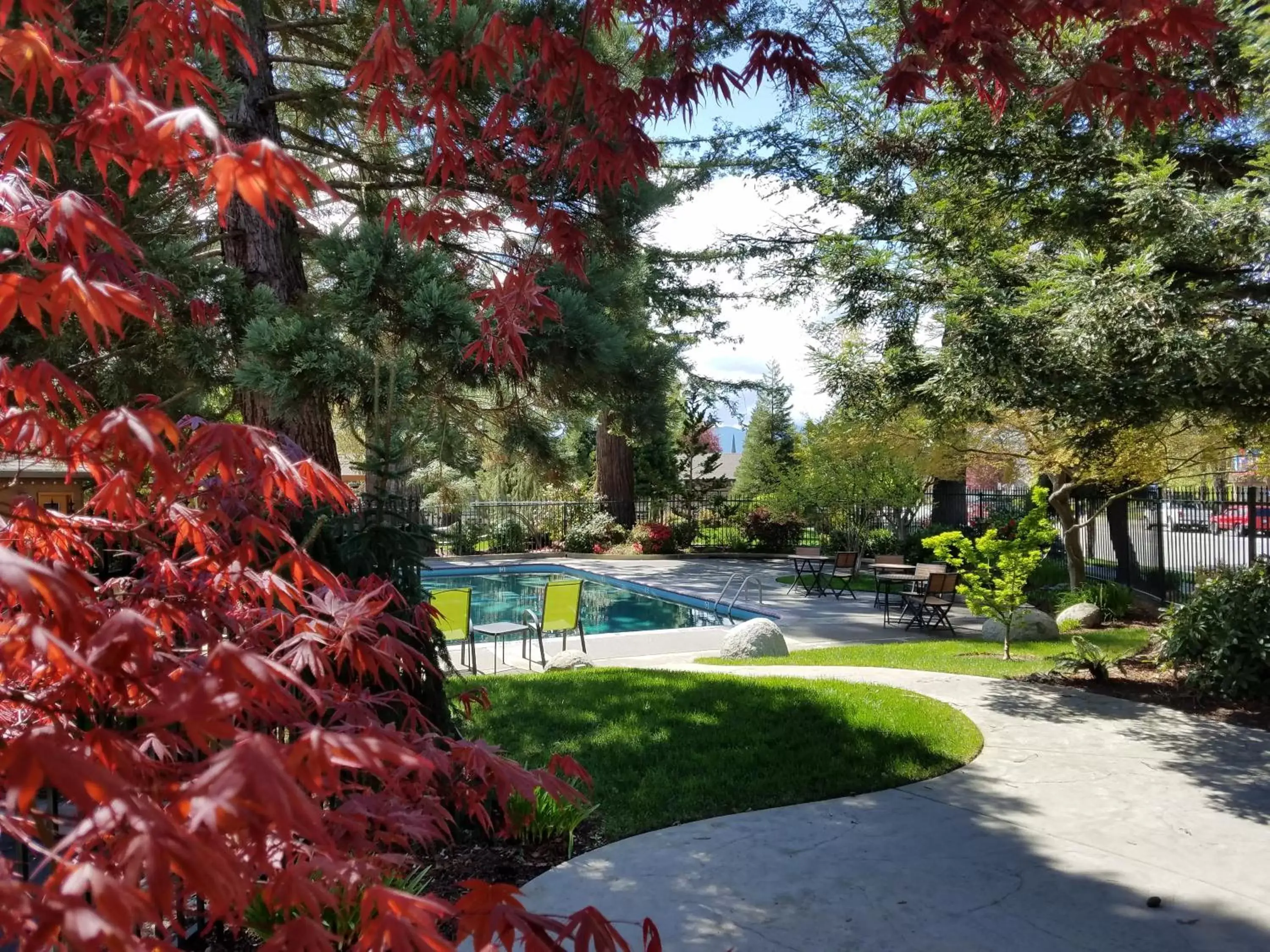 Pool view, Garden in Redwood Hyperion Suites