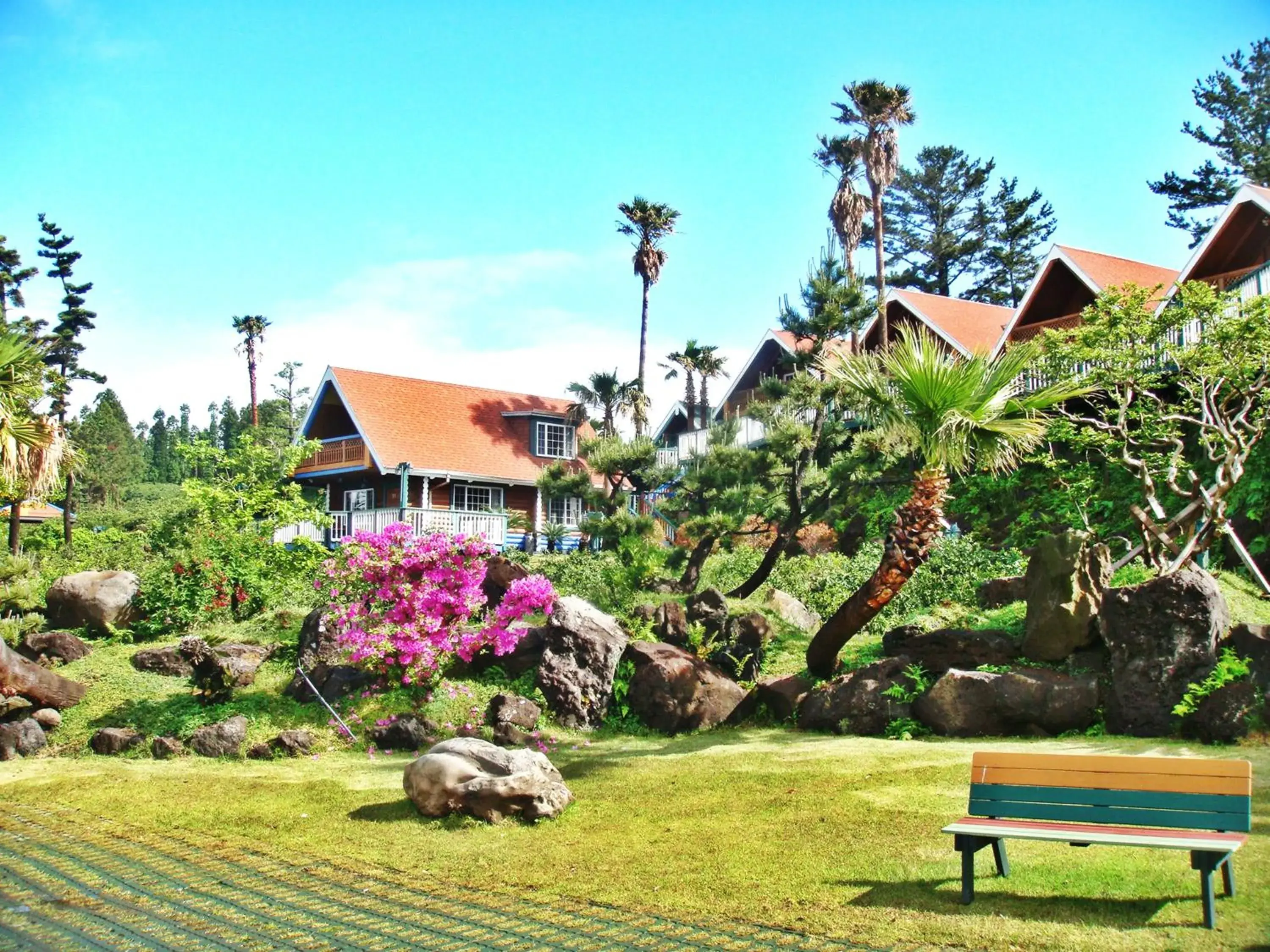 View (from property/room) in Jungmun Log Pension & Resort View (from property/room) in Jungmun Log Pension & Resort