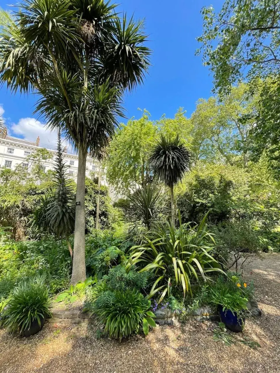 Garden in Eccleston Square Hotel