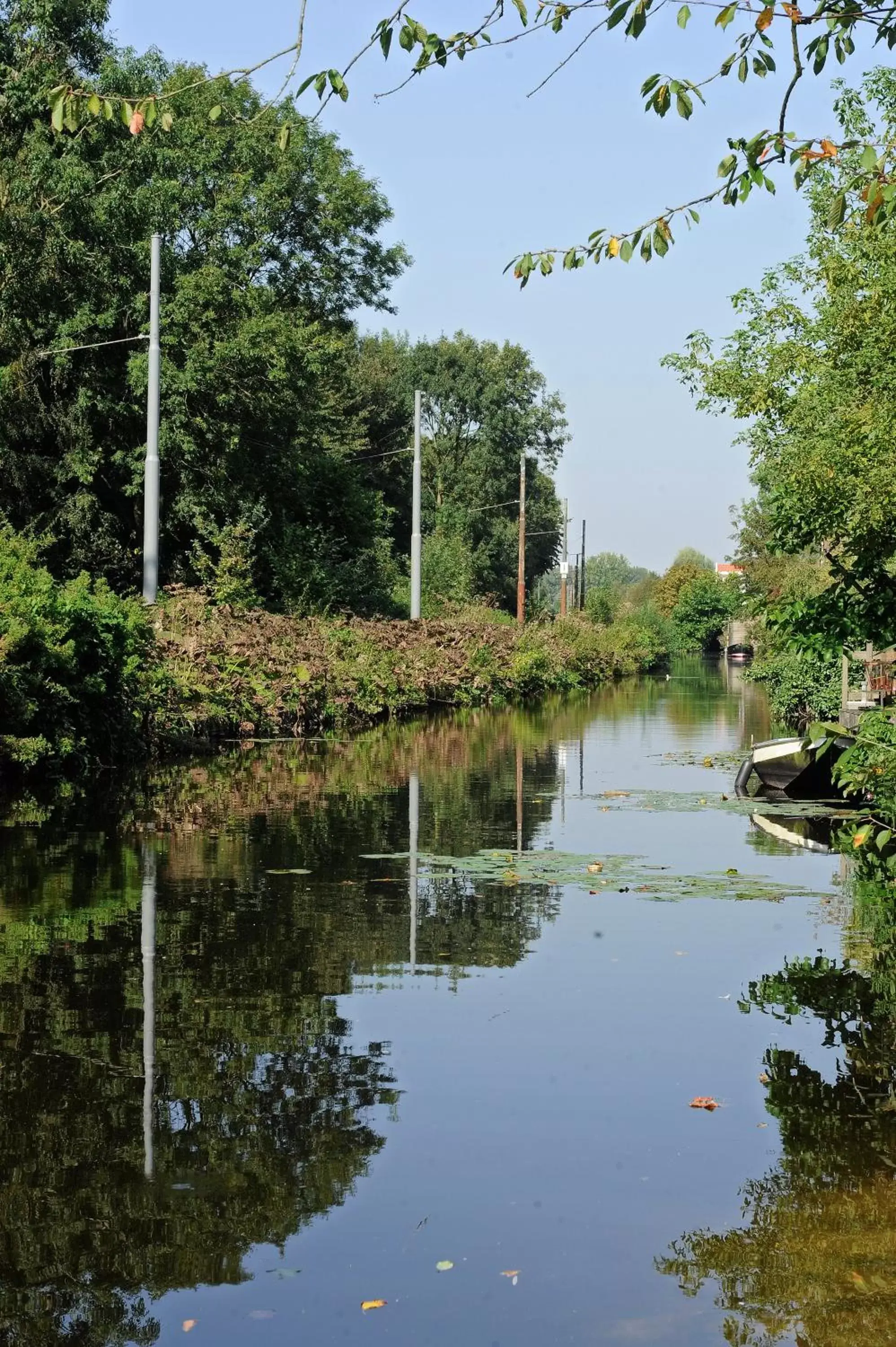 Area and facilities, Natural Landscape in Amsterdam Forest Hotel