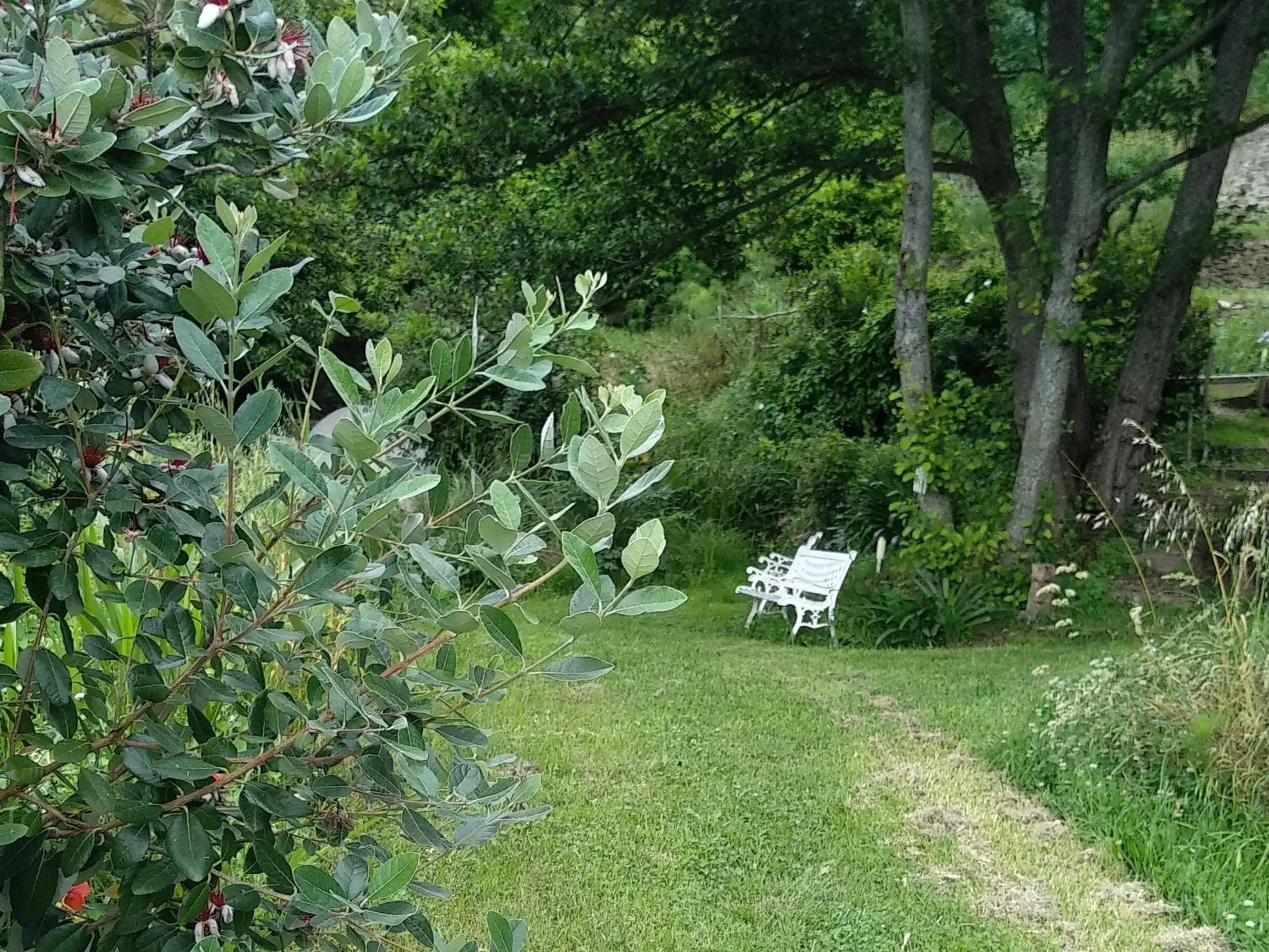 Garden in B&B Casa Gemma