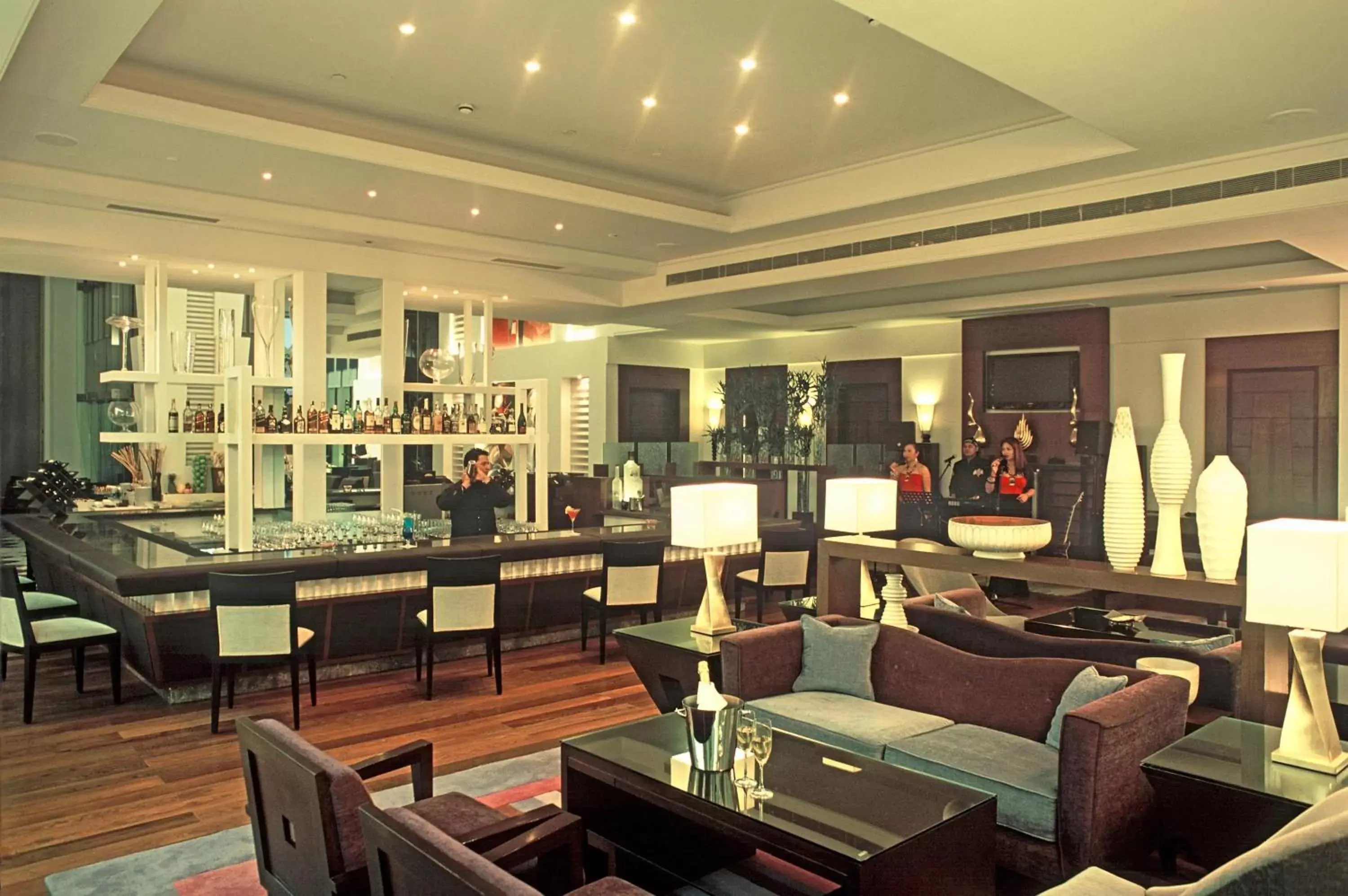 Lounge or bar, Restaurant/Places to Eat in Radisson Noida