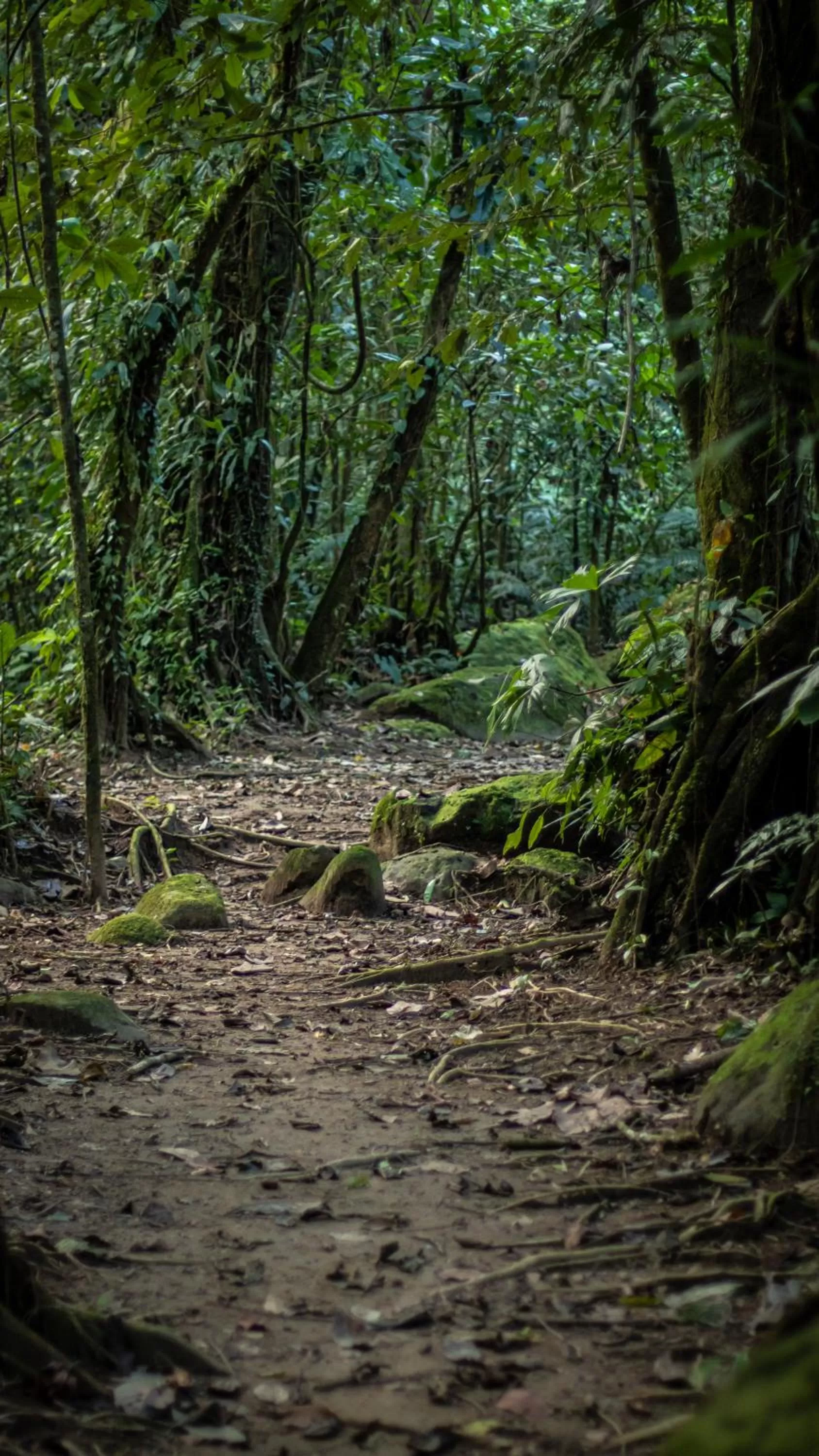 Hotel Rancho Cerro Azul