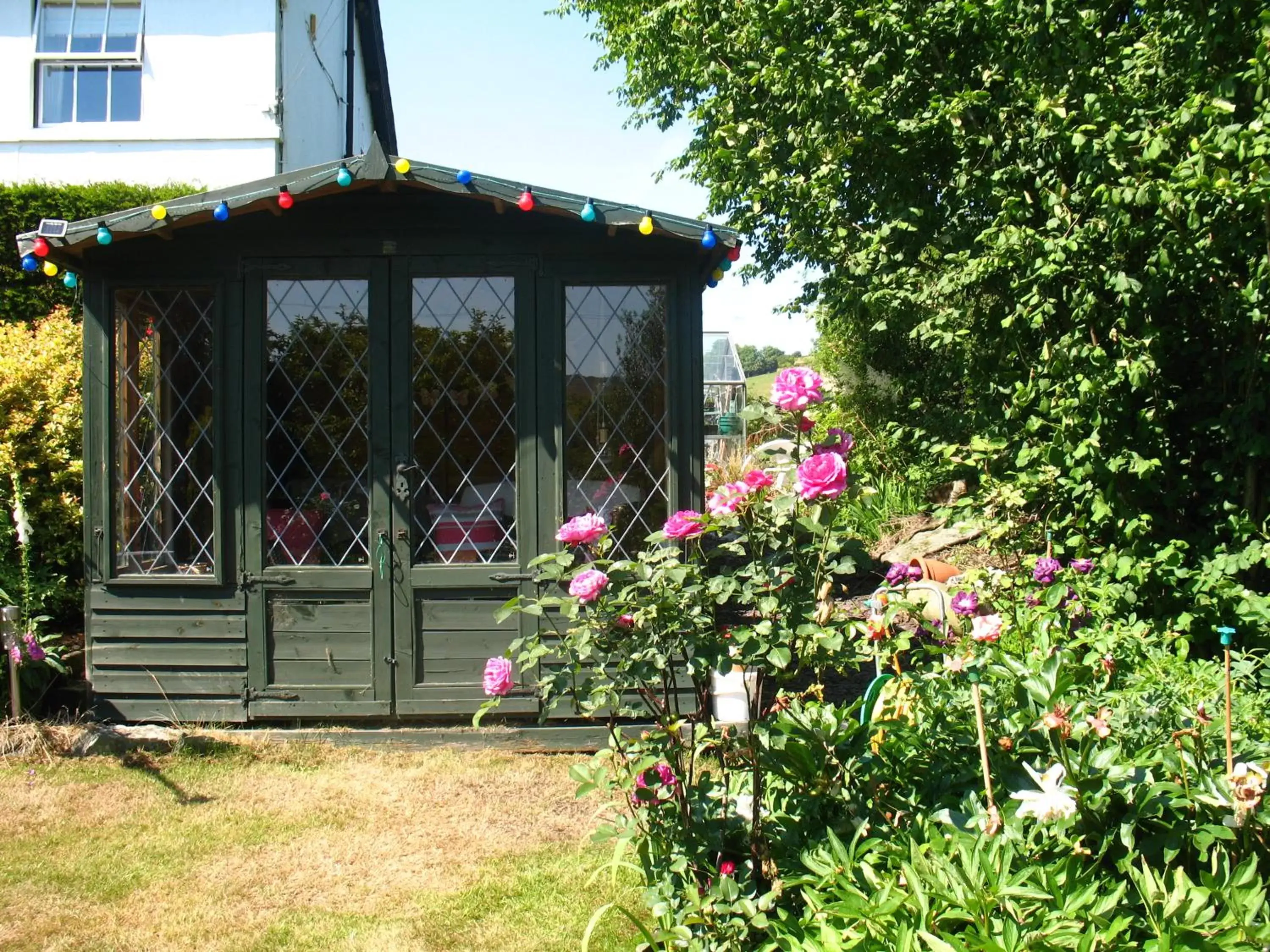 Garden, Property Building in The Hill