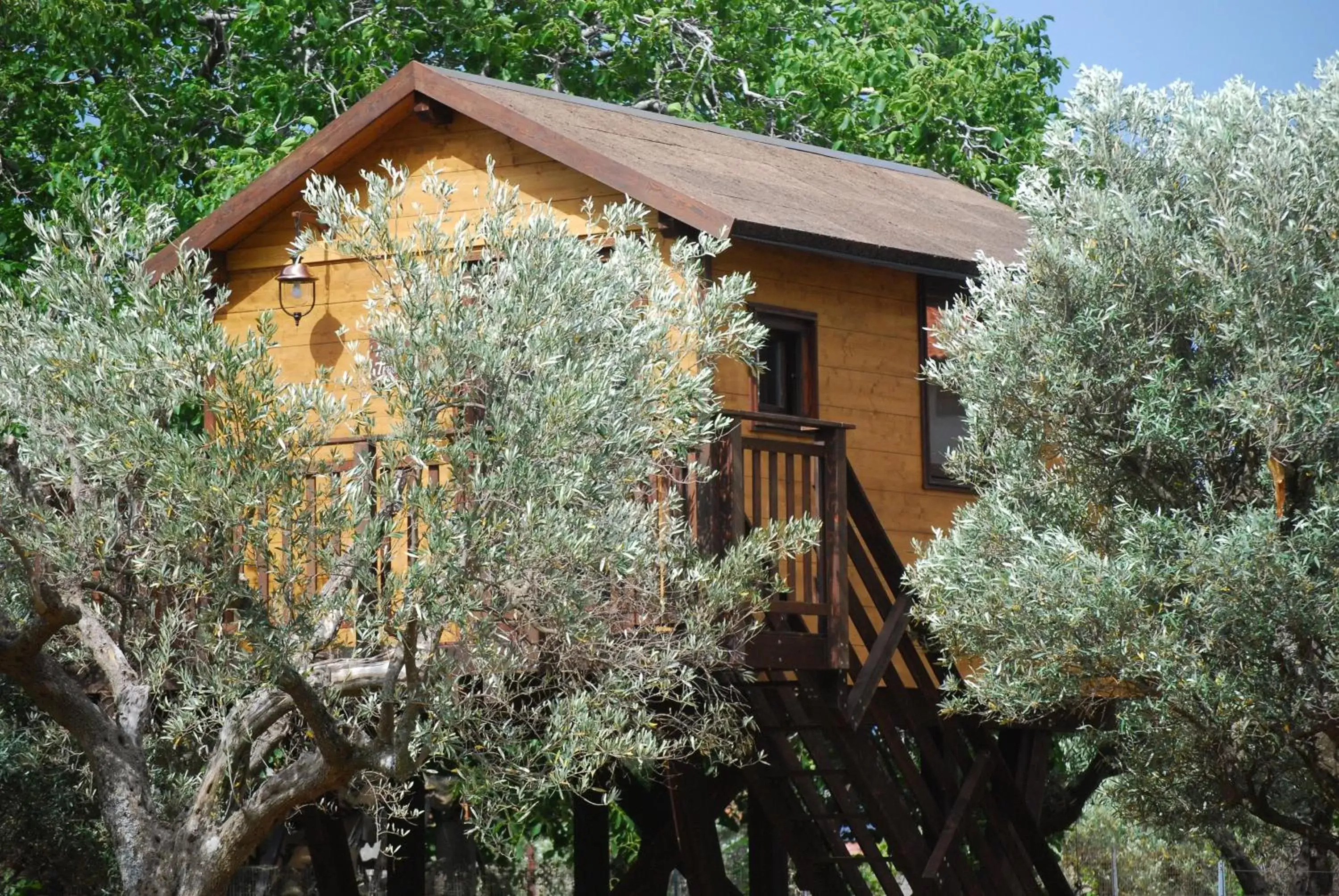 Property Building in Palazzo Conforti Tree House Resort