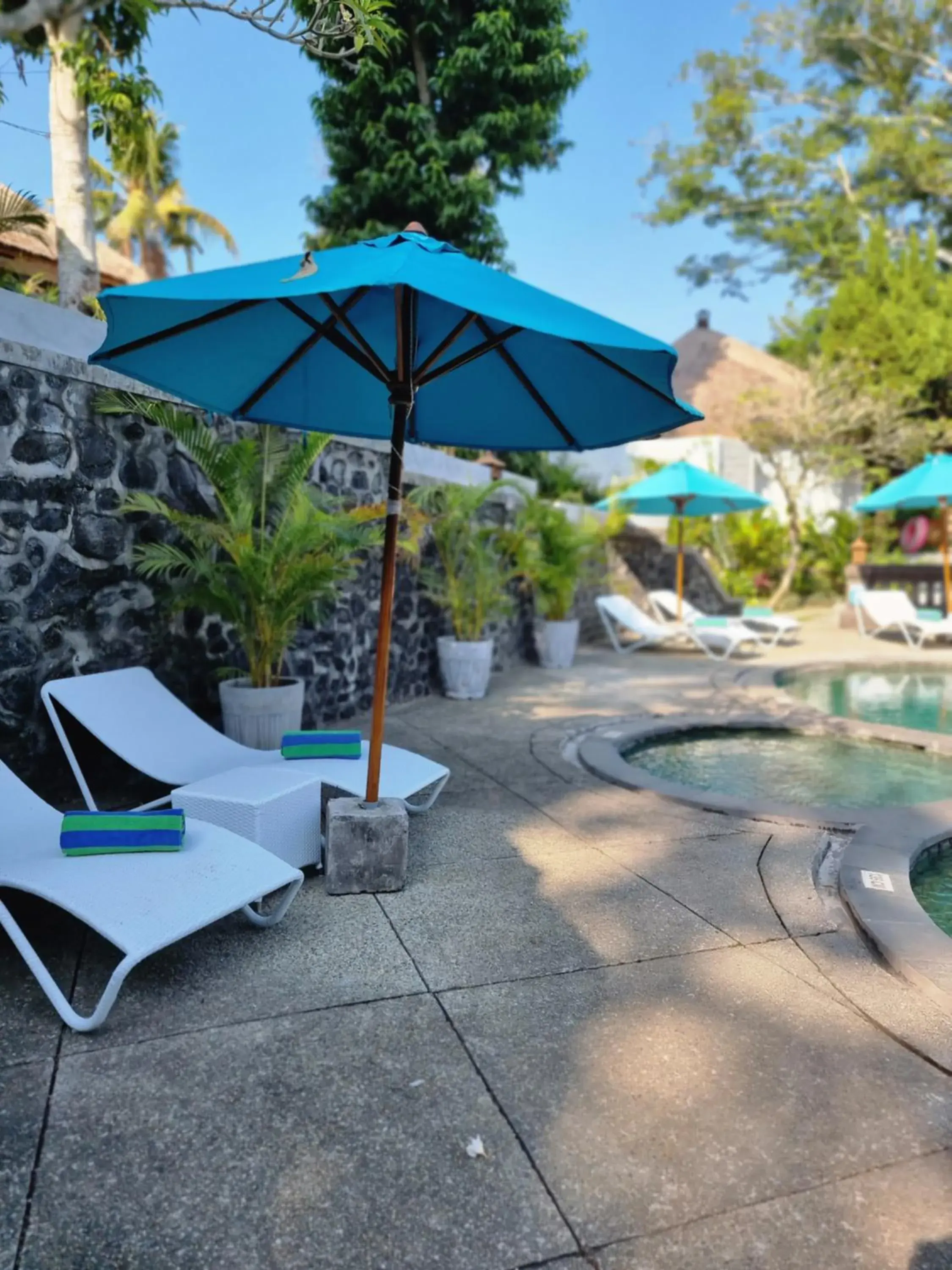 Swimming Pool in Ubud Dedari Villas