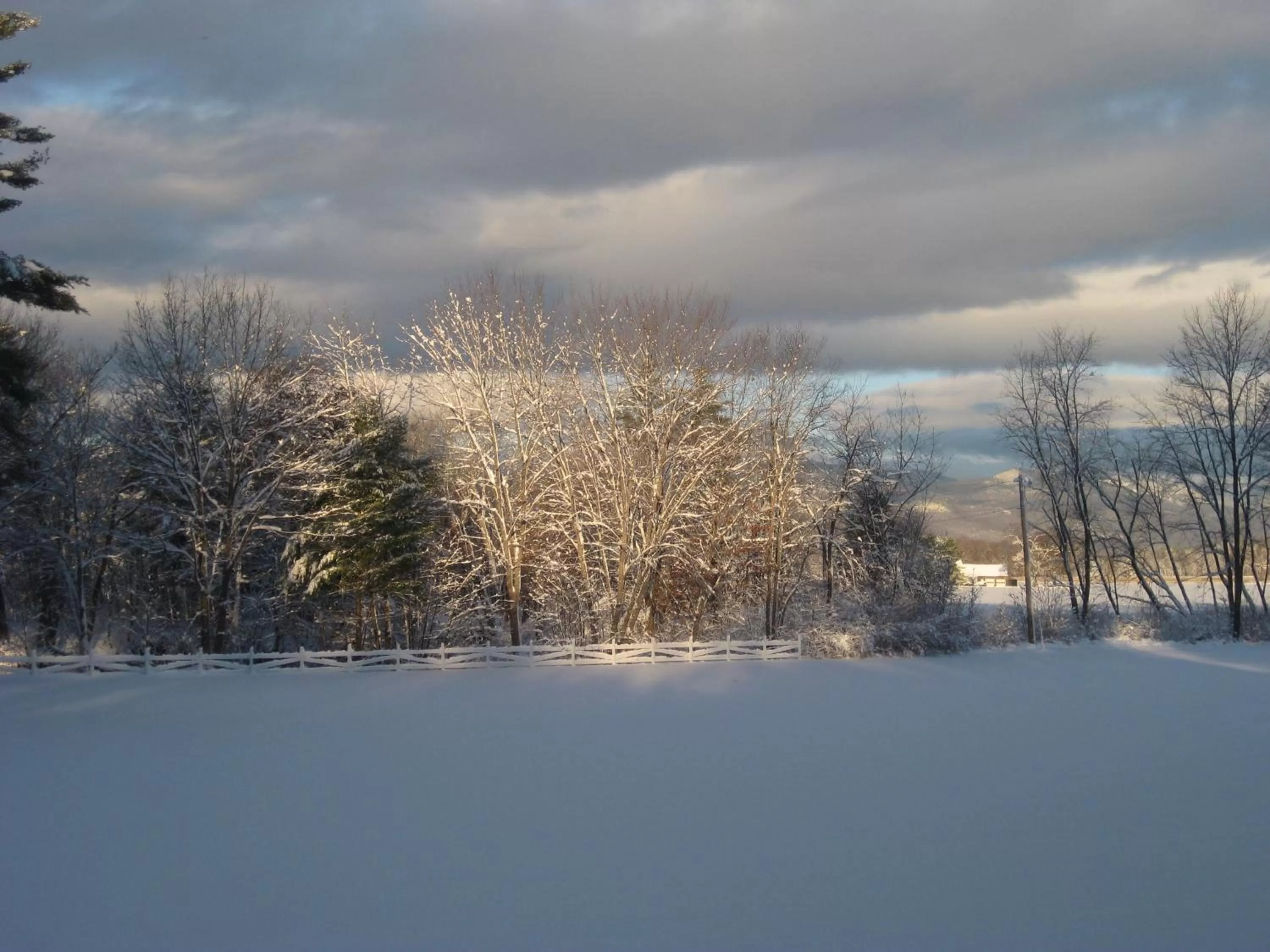 Garden view in Old Saco Inn