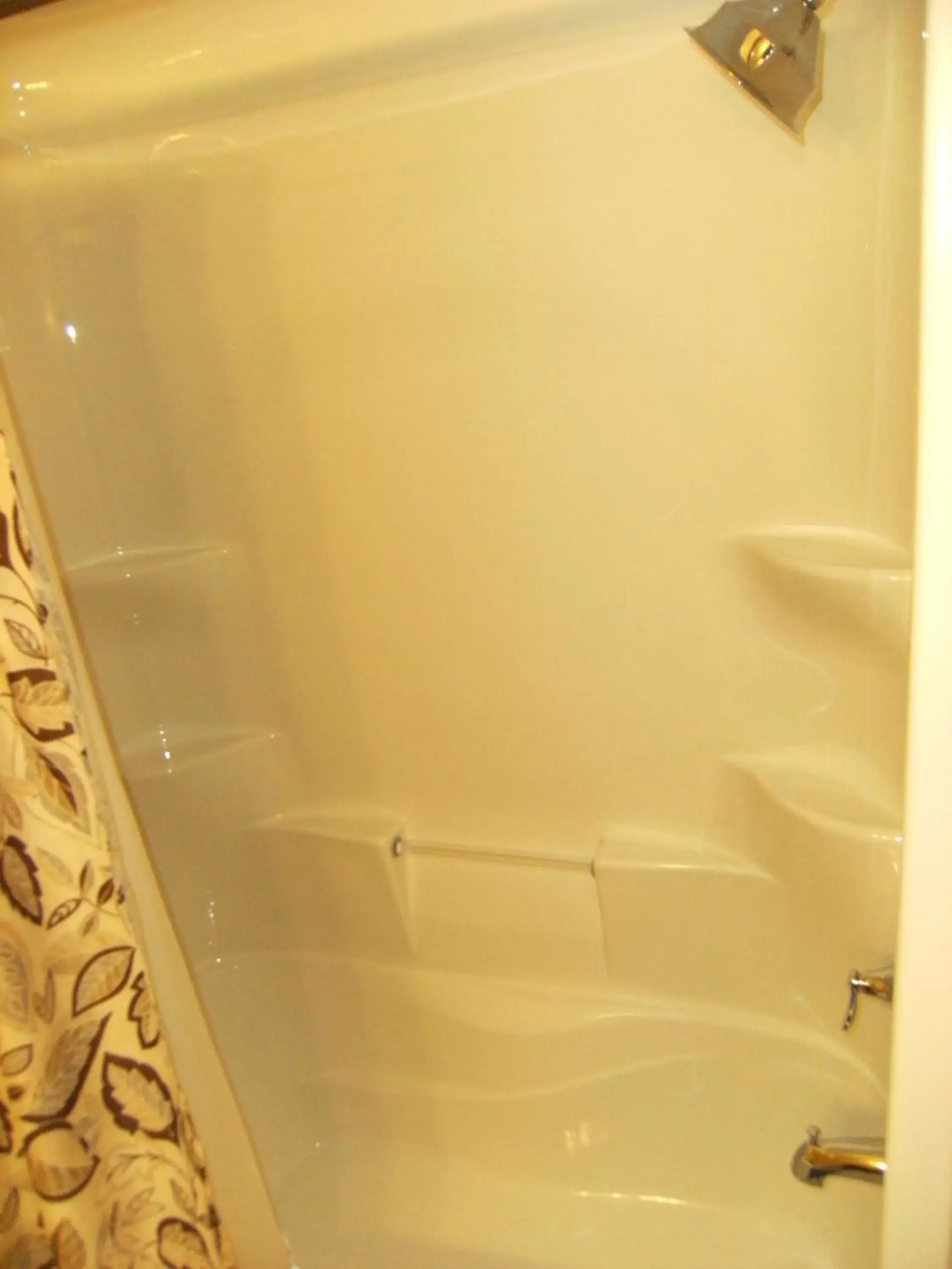 Shower, Bathroom in Parkside Inn