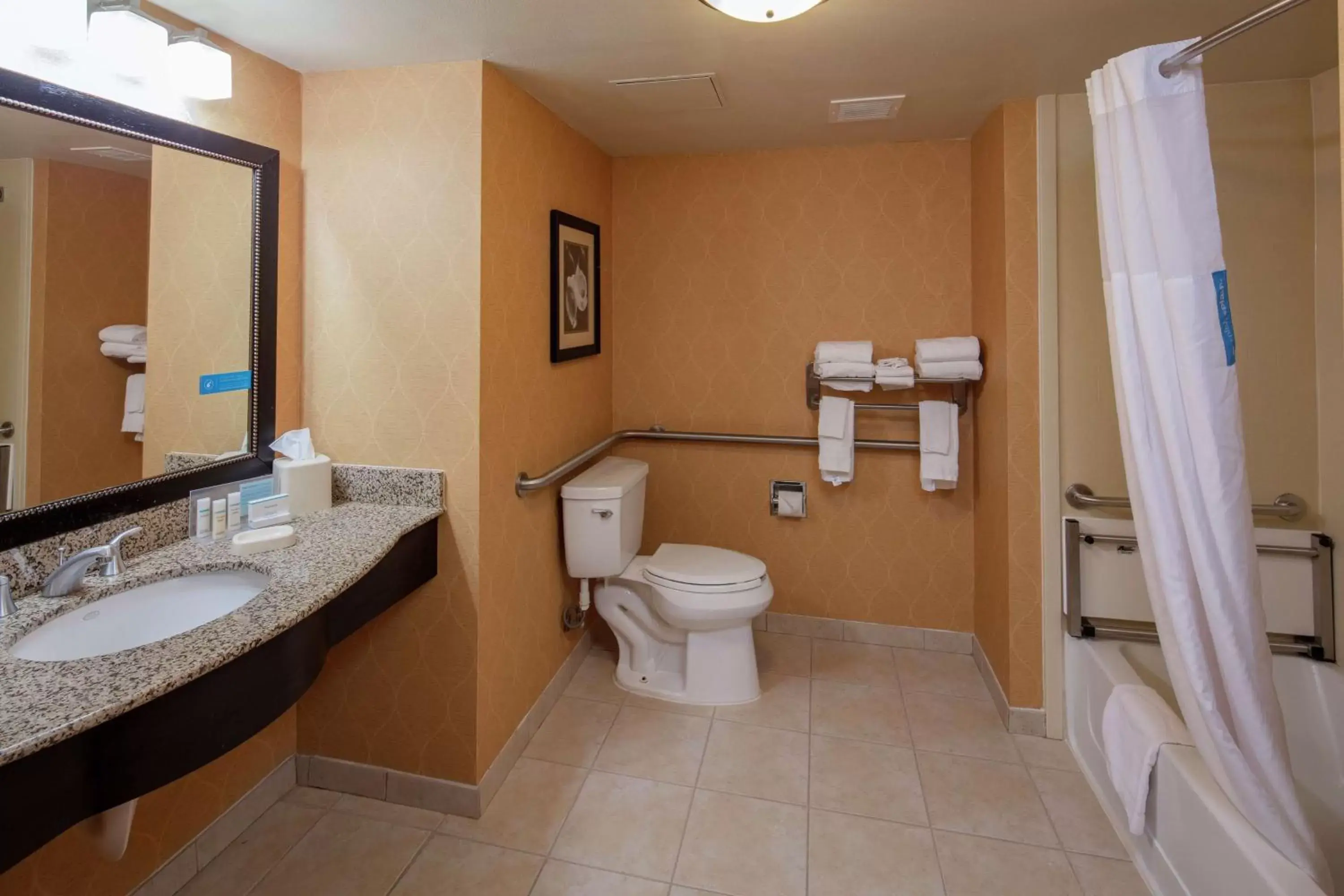 Bathroom in Hampton Inn & Suites Austin Cedar Park-Lakeline