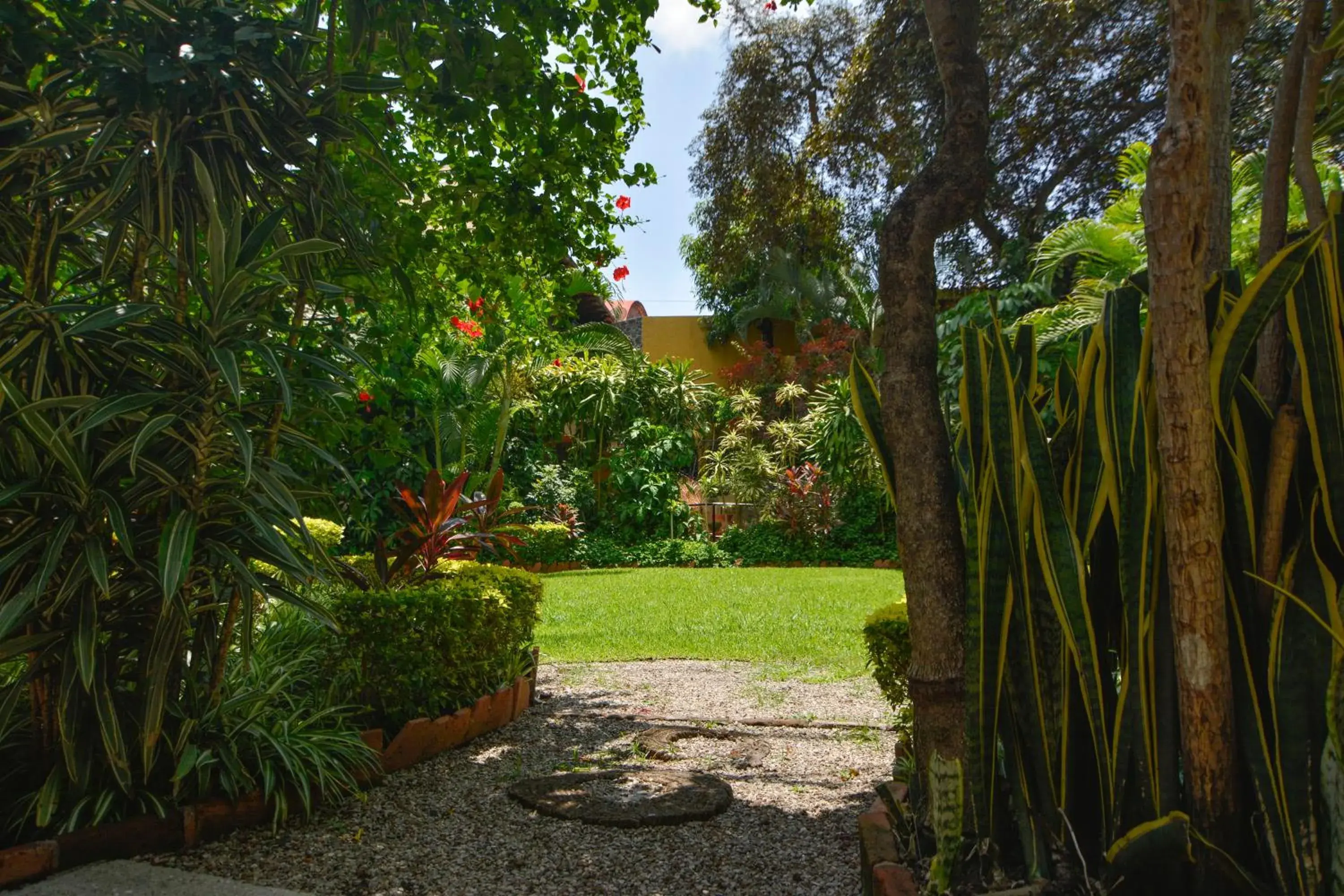 Garden in Hotel Coral Cuernavaca Resort & Spa