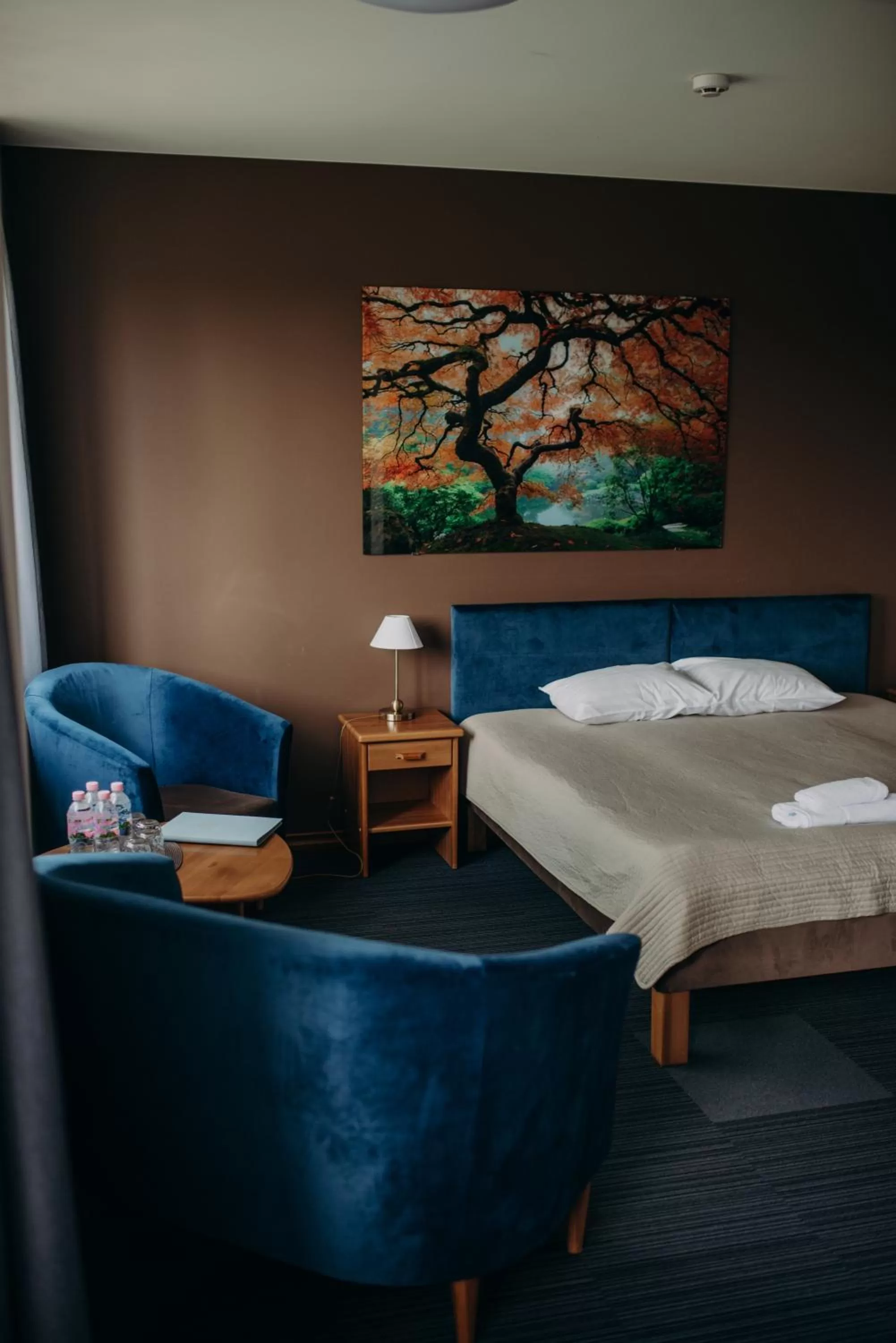 Comfort Hotel Kuldiga